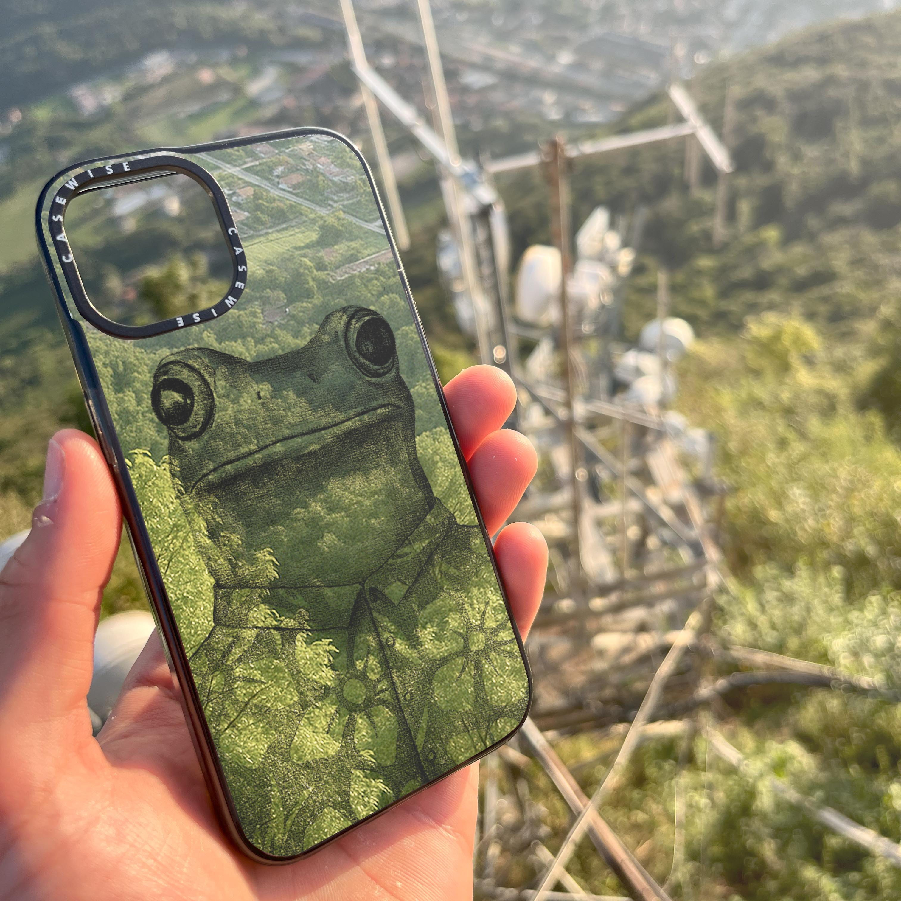 Summer Frog