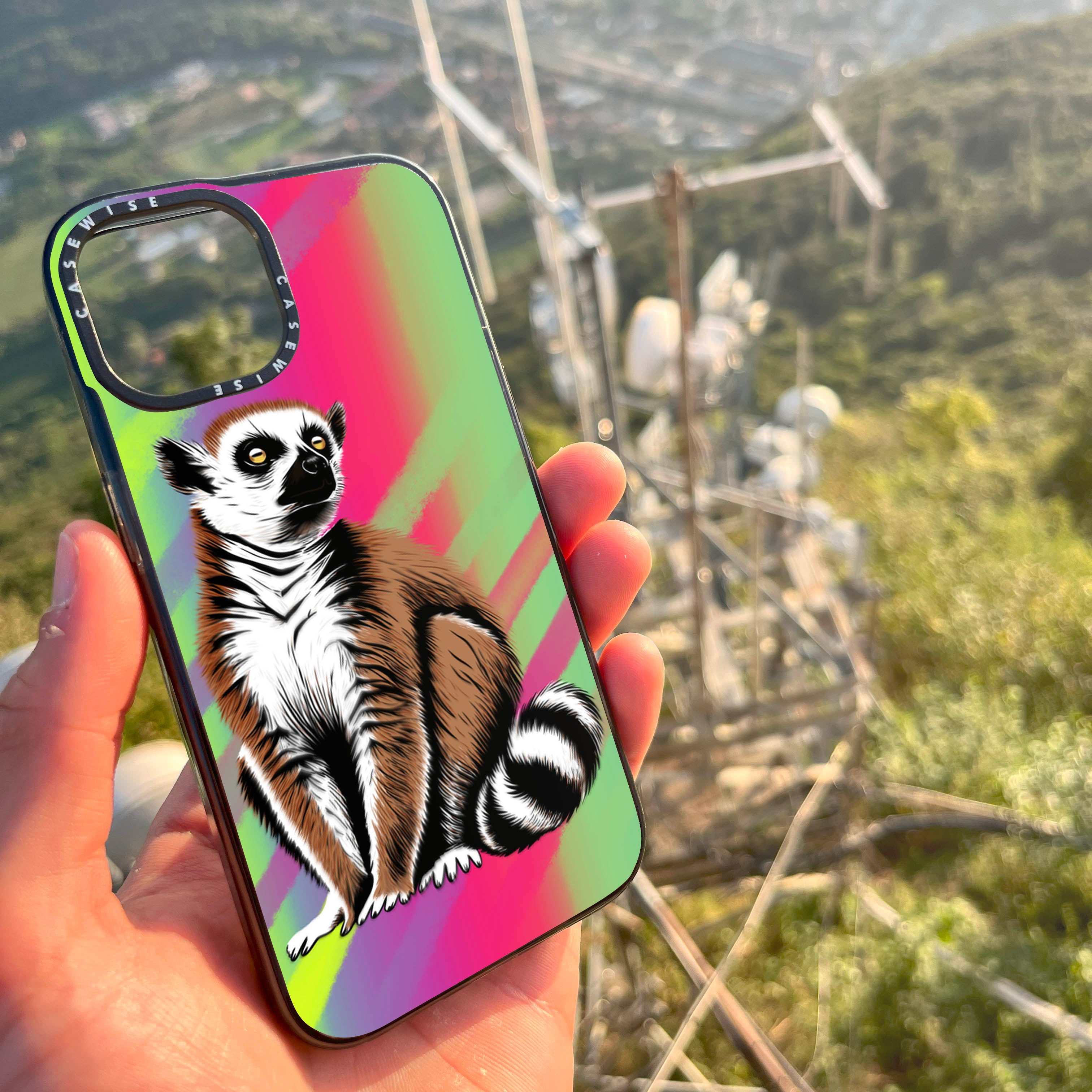 Lemur koroniasty 3 - Etui