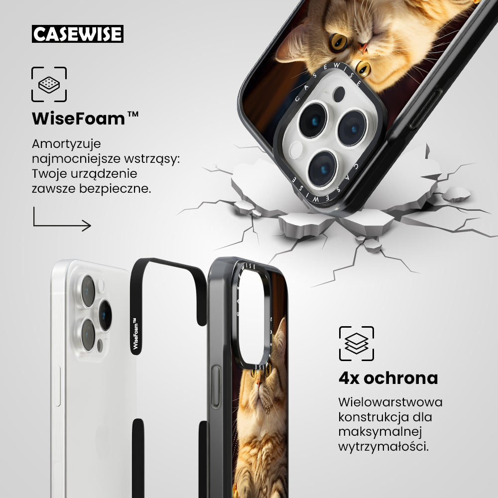 Cat Popcorn - Etui