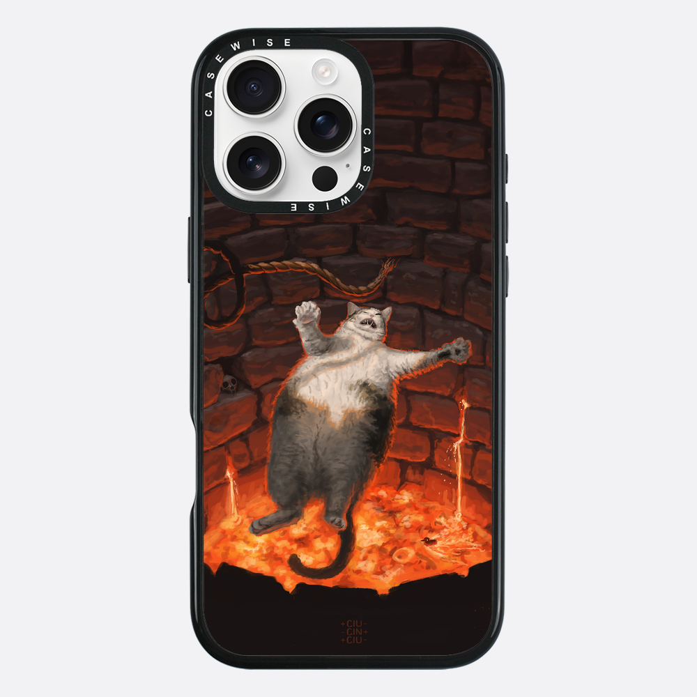 cat falling in lava - Etui