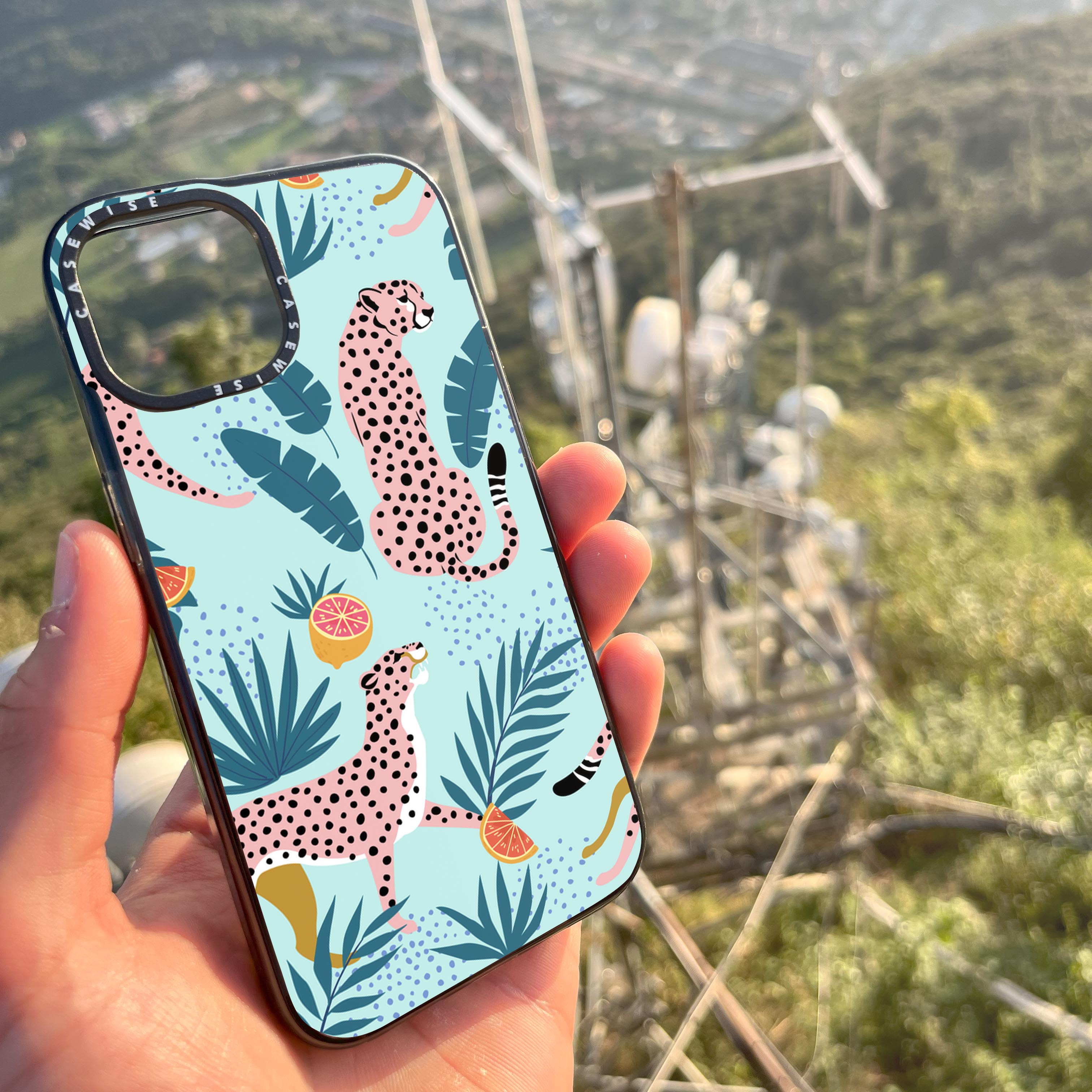 Cheetahs in the grapefruit grove