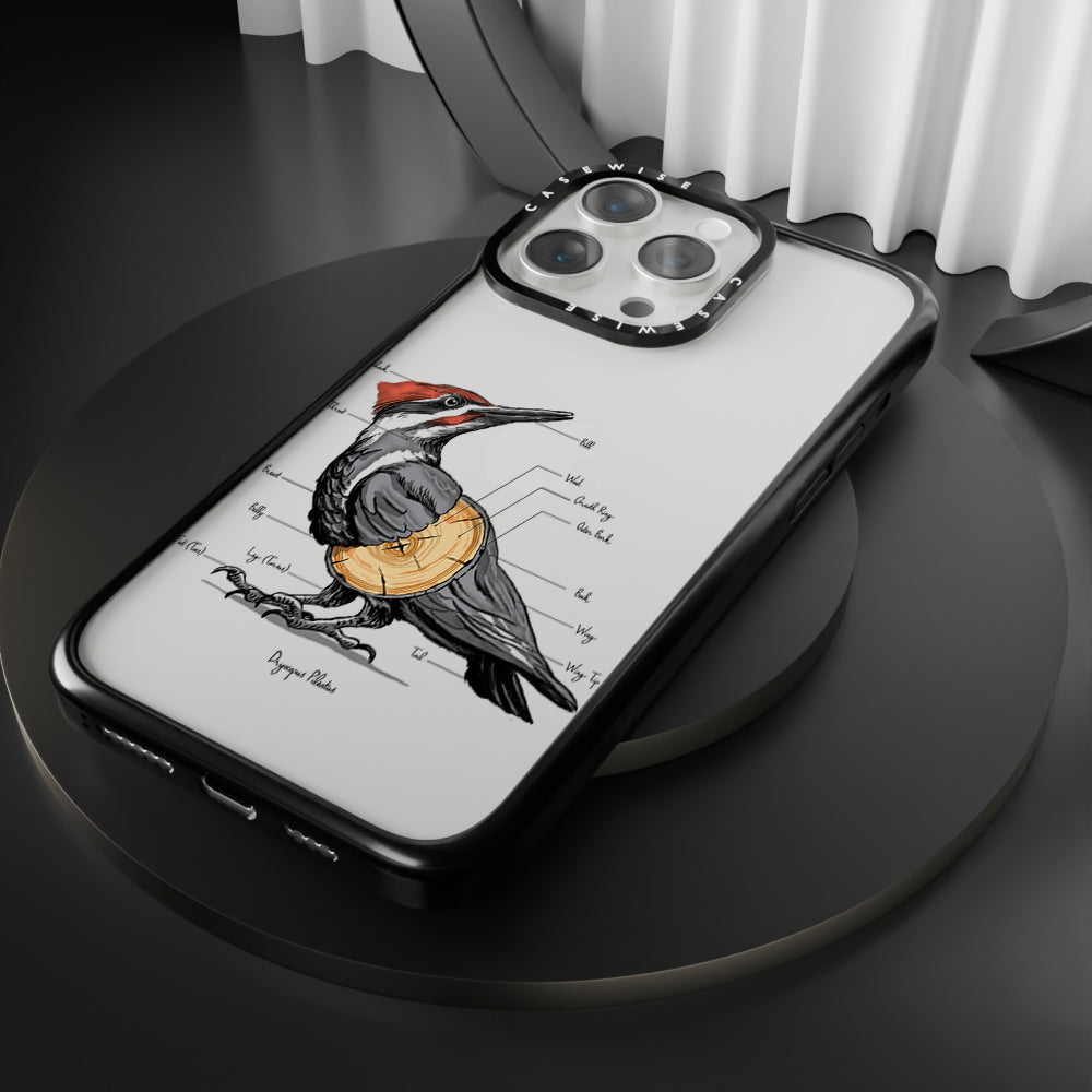woodpecker anatomy - Etui