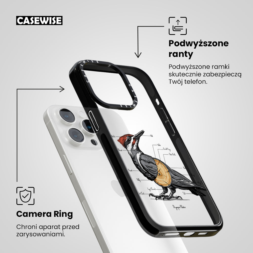 woodpecker anatomy - Etui