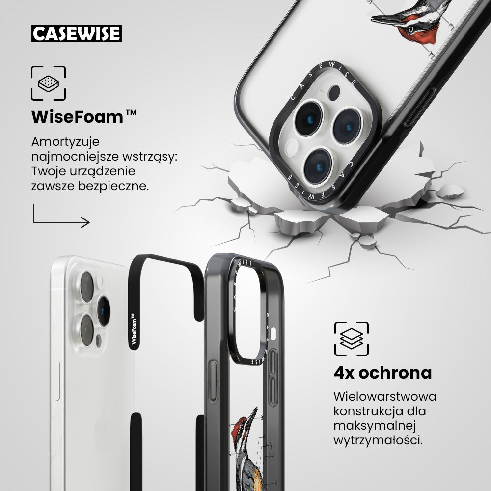 woodpecker anatomy - Etui
