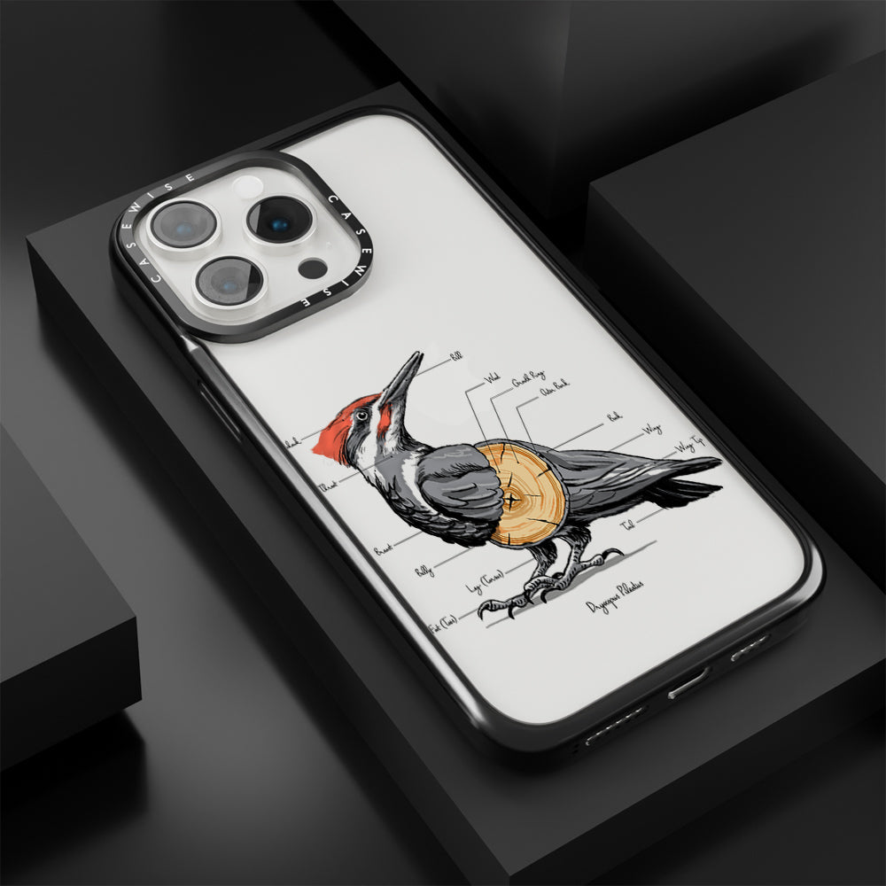 woodpecker anatomy - Etui