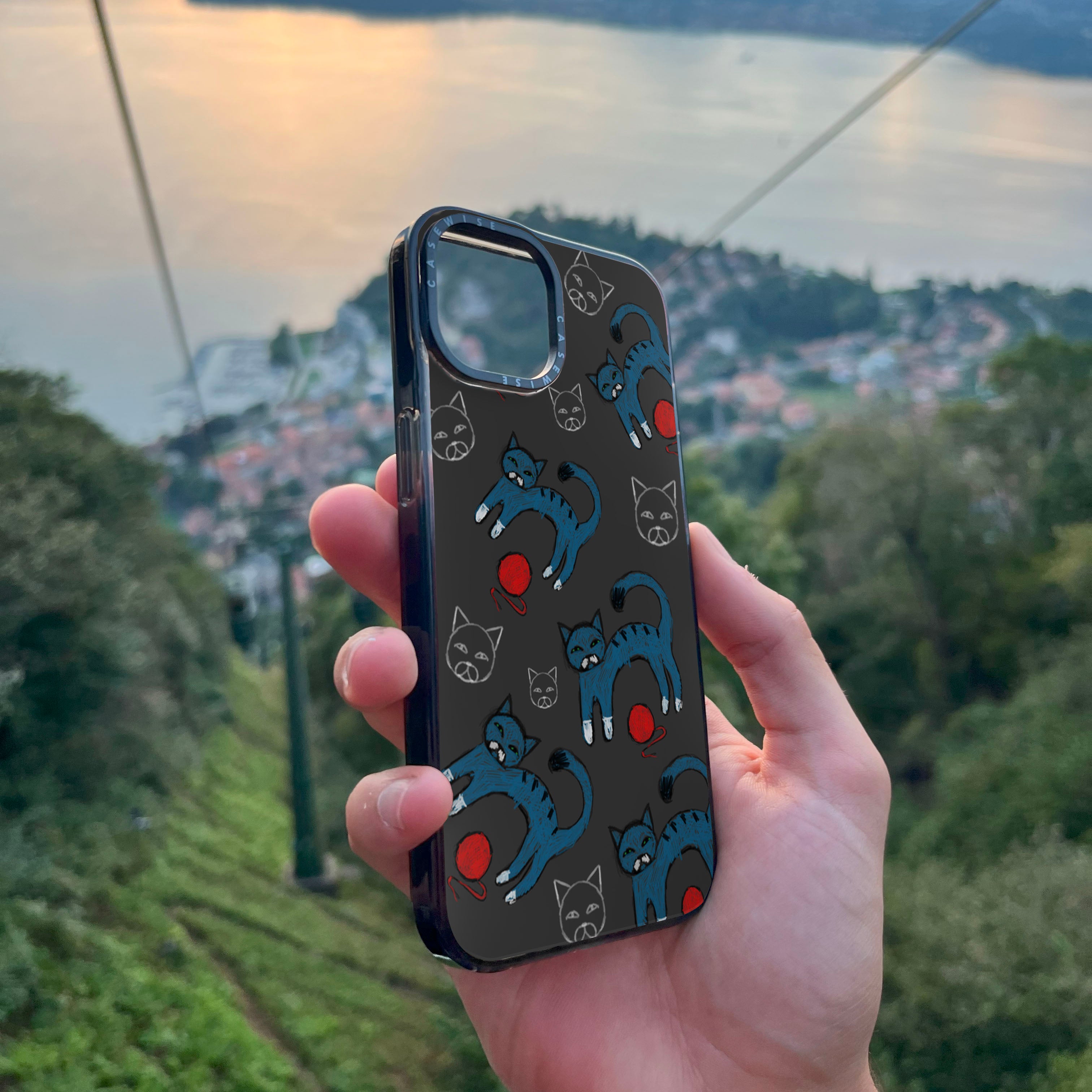 Niebieski kot - Etui