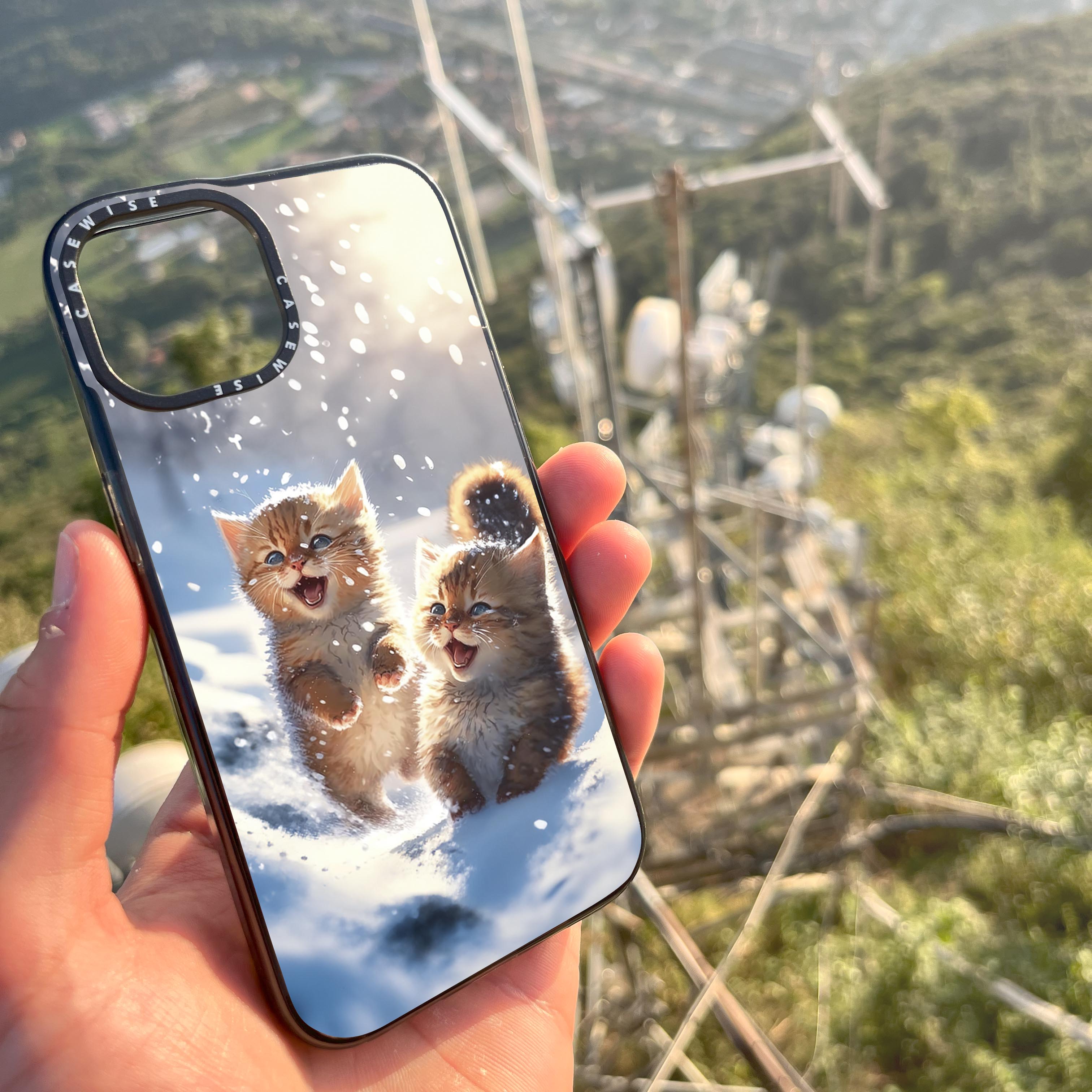 Cats playing in snow - Etui