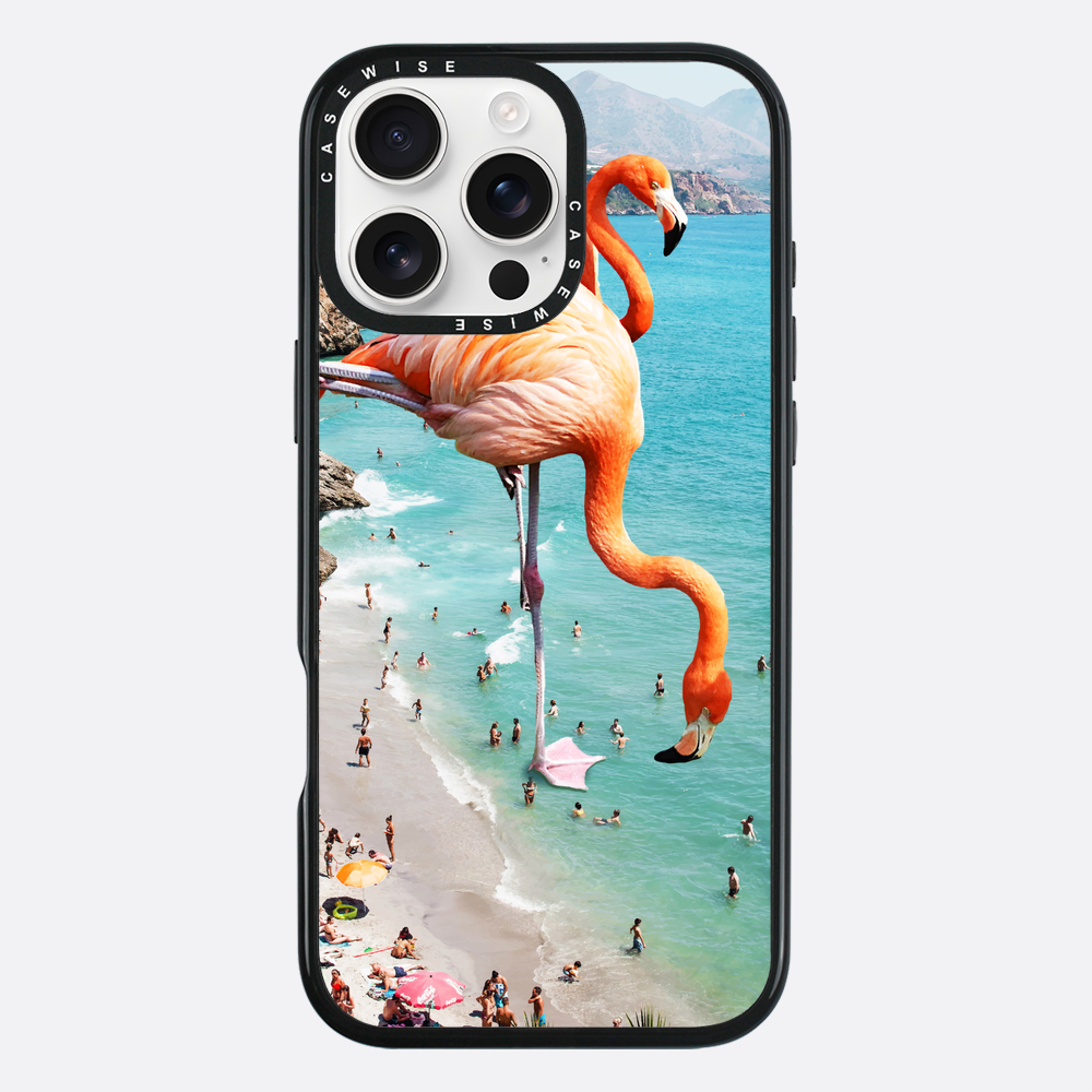 Flamingos on the beach