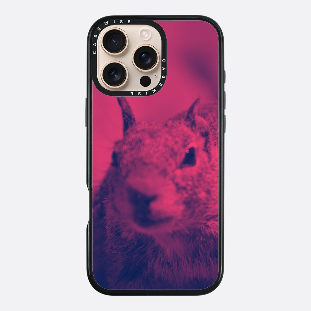 Wiewióra Fuksjowa - Etui