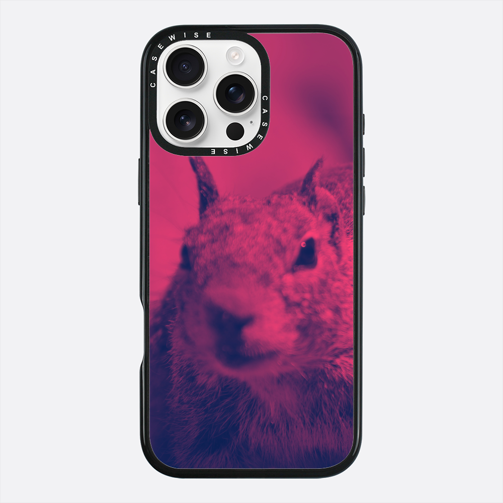 Wiewióra Fuksjowa - Etui