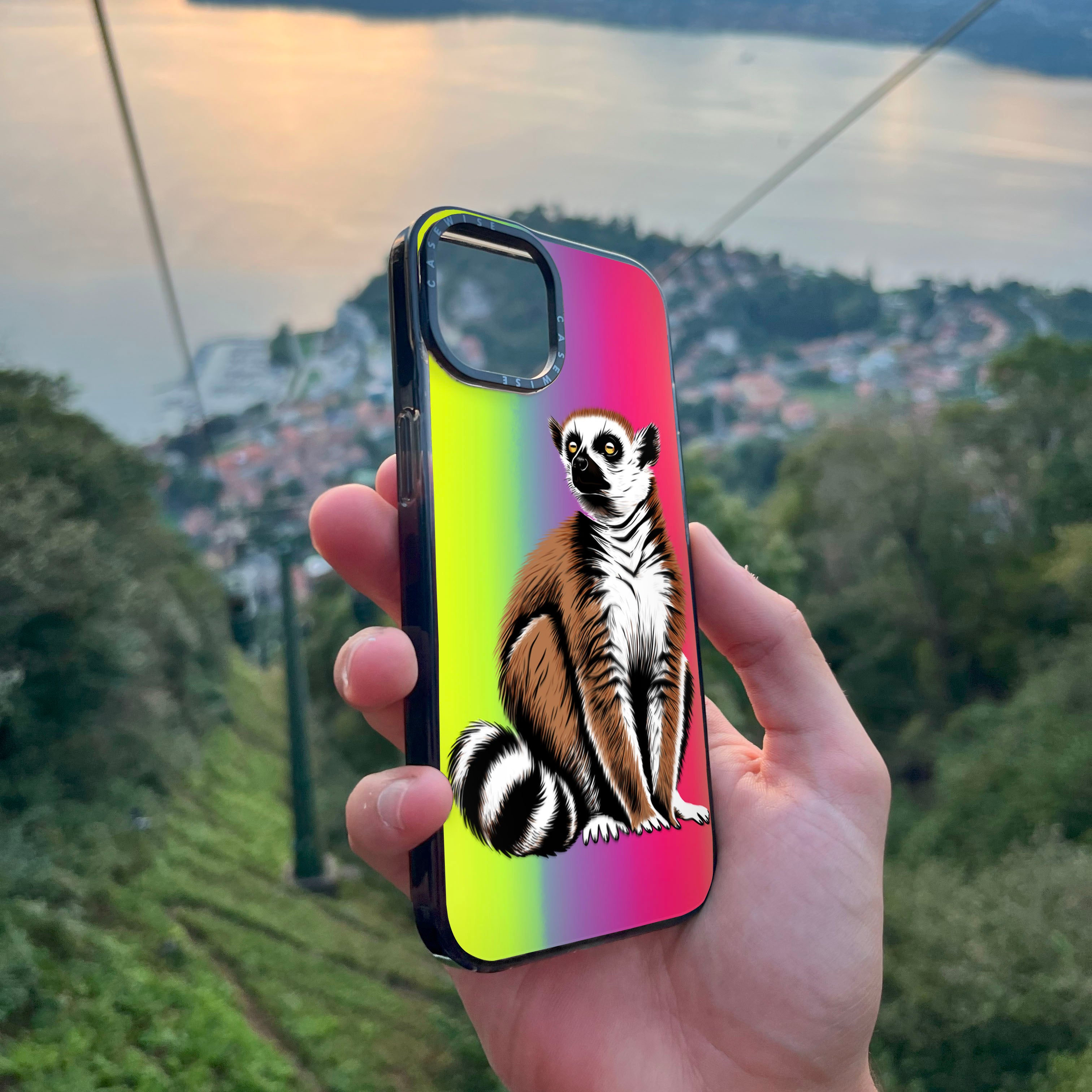 Lemur koroniasty 2 - Etui