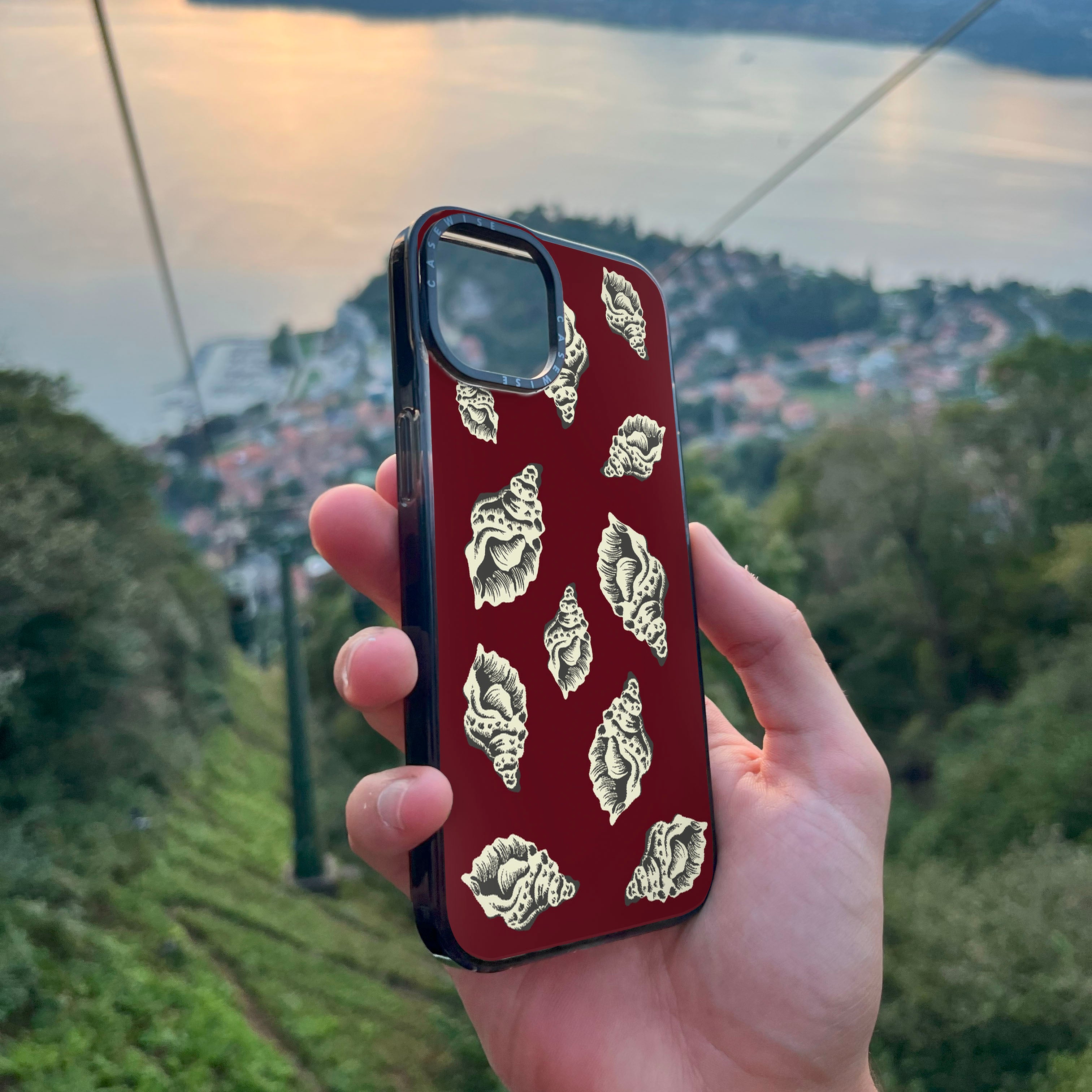 Muszle morskie - Etui