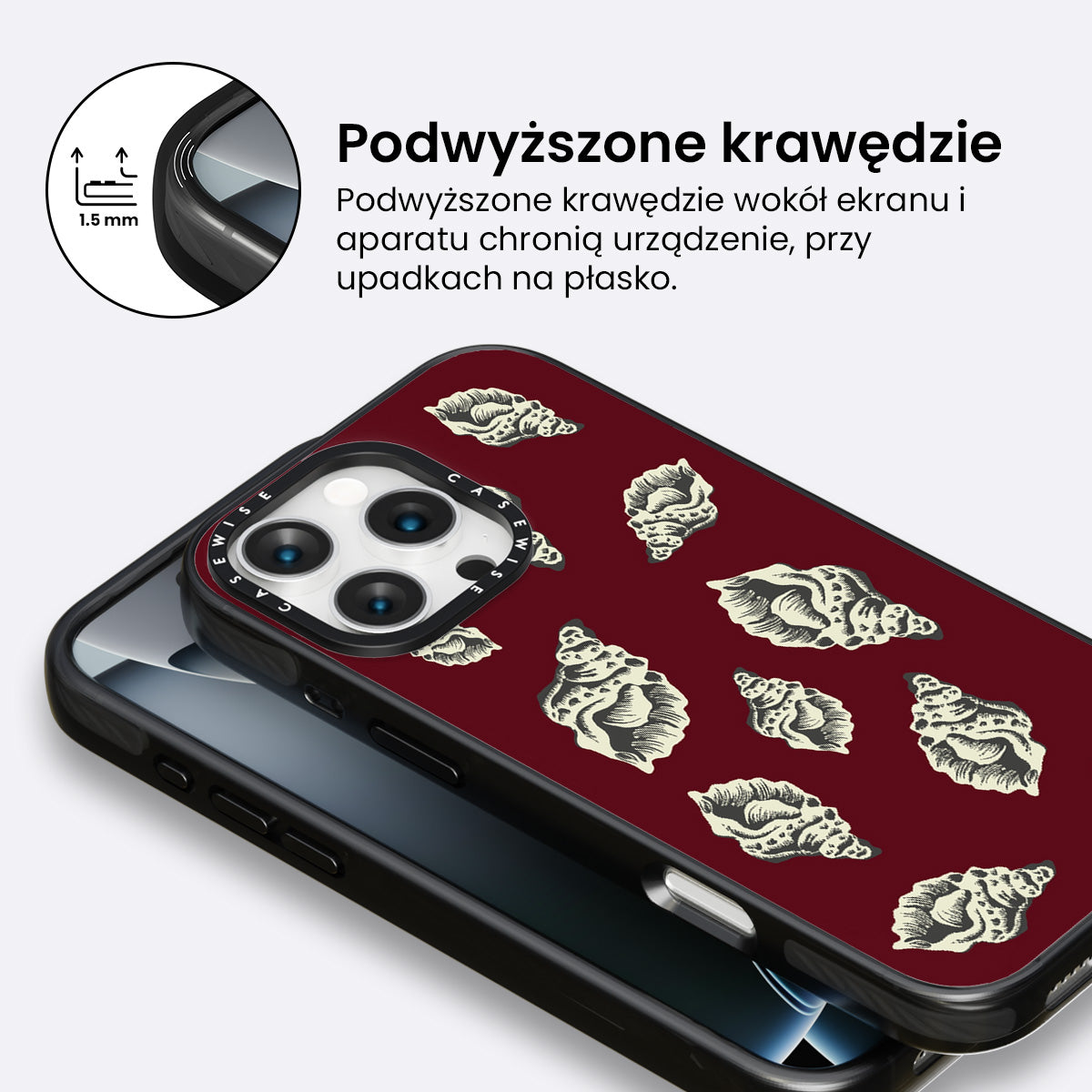 Muszle morskie - Etui