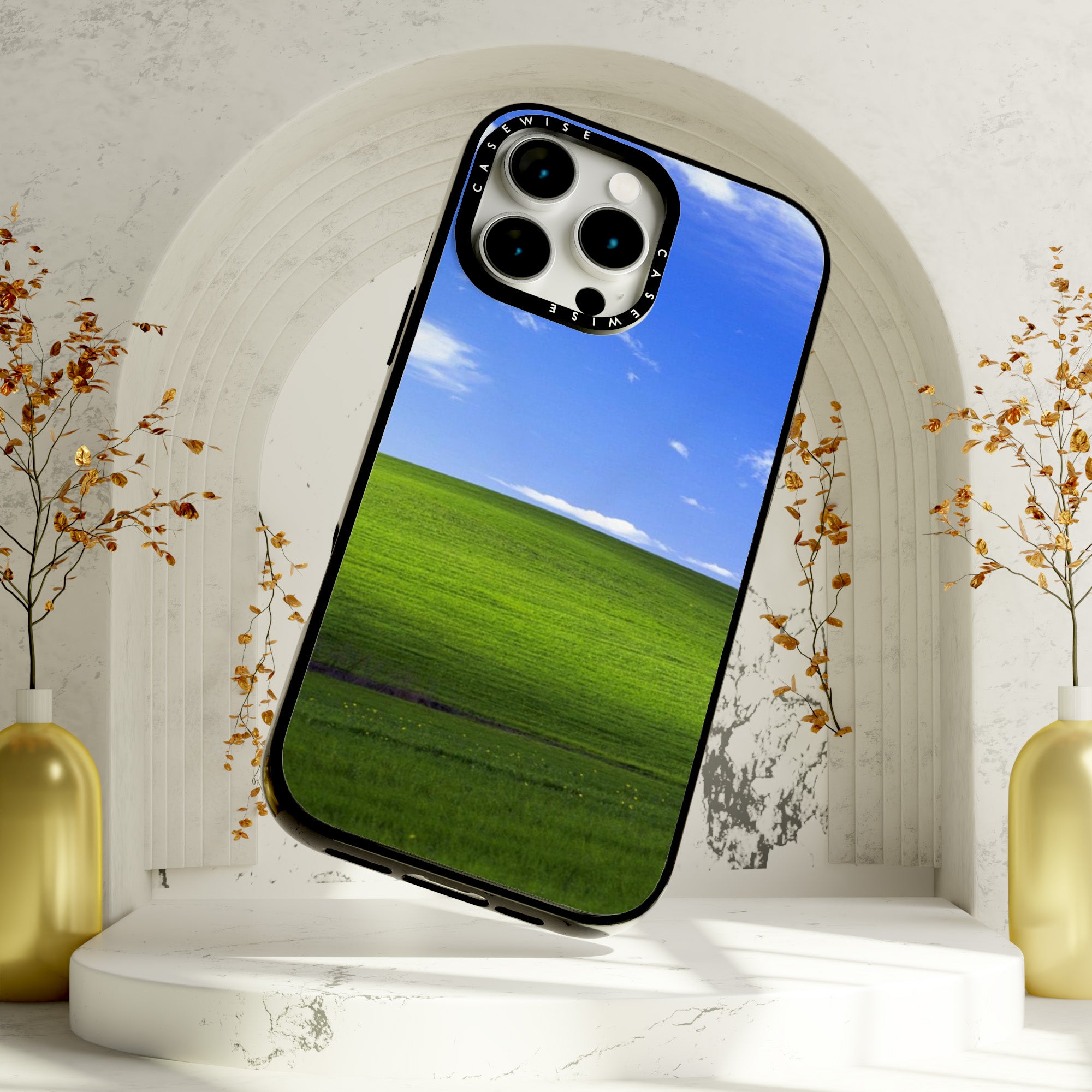 Łąka z windowsa - Etui