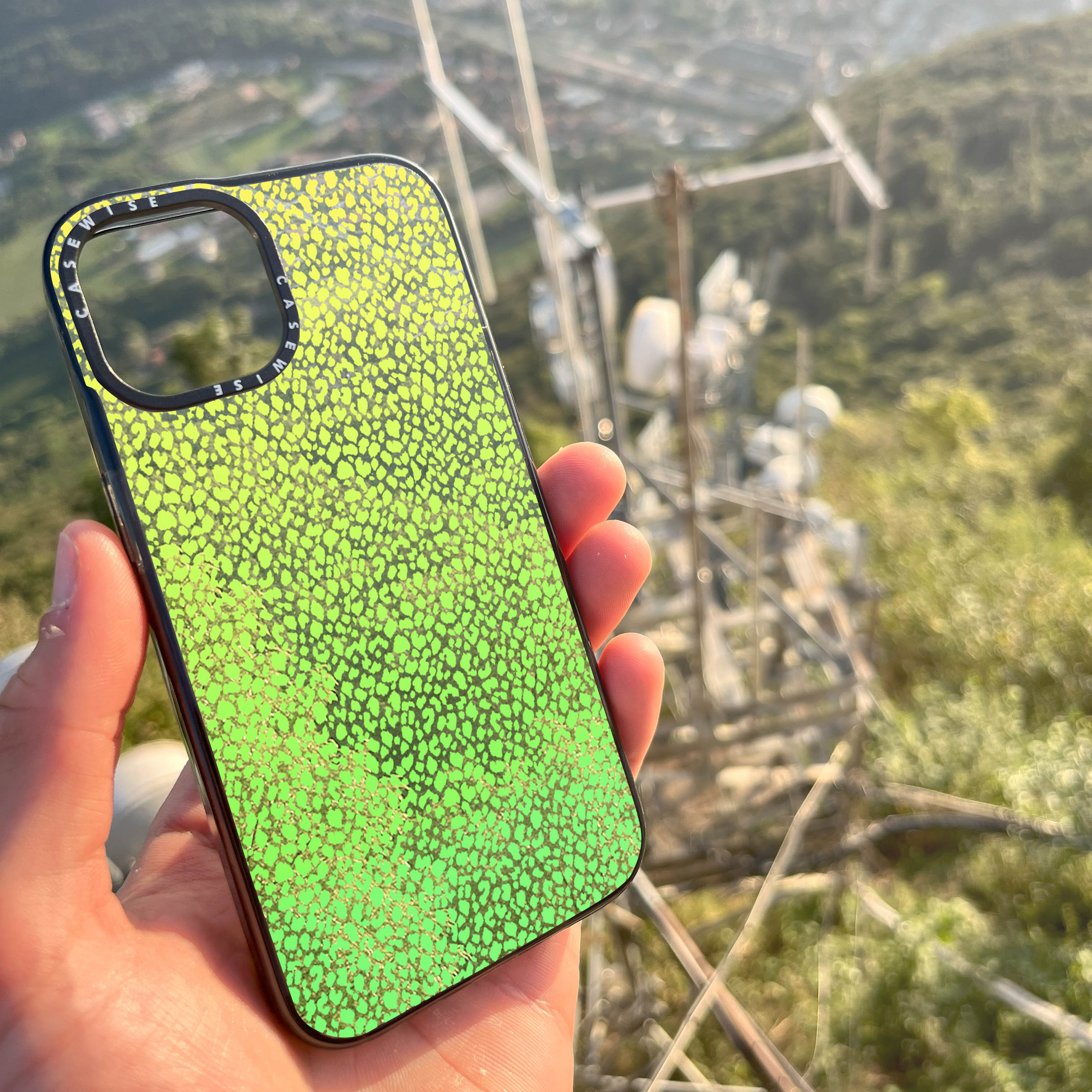 Zielona Pantera Ombre - Etui