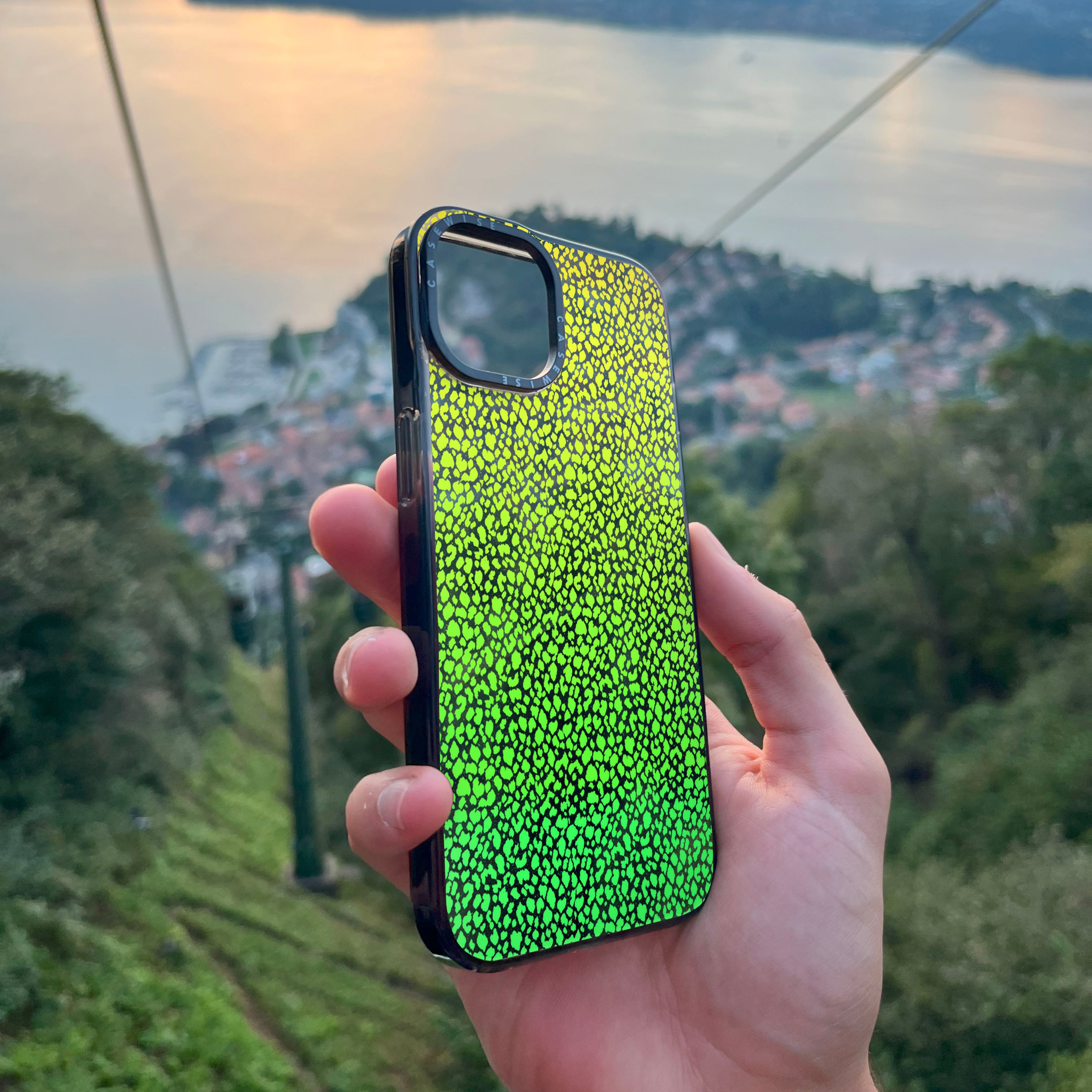 Zielona Pantera Ombre - Etui