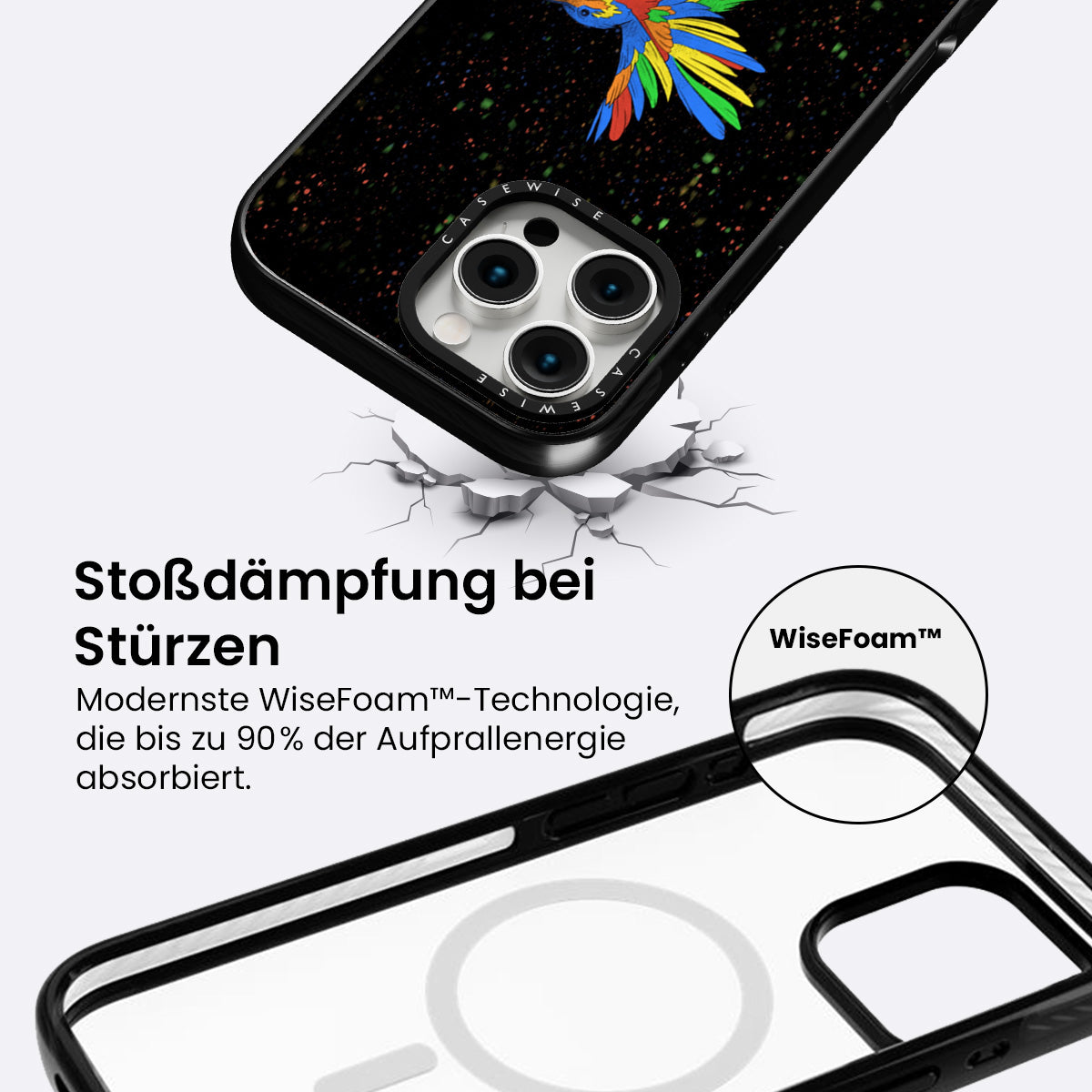 Koliber tęczowy - Etui