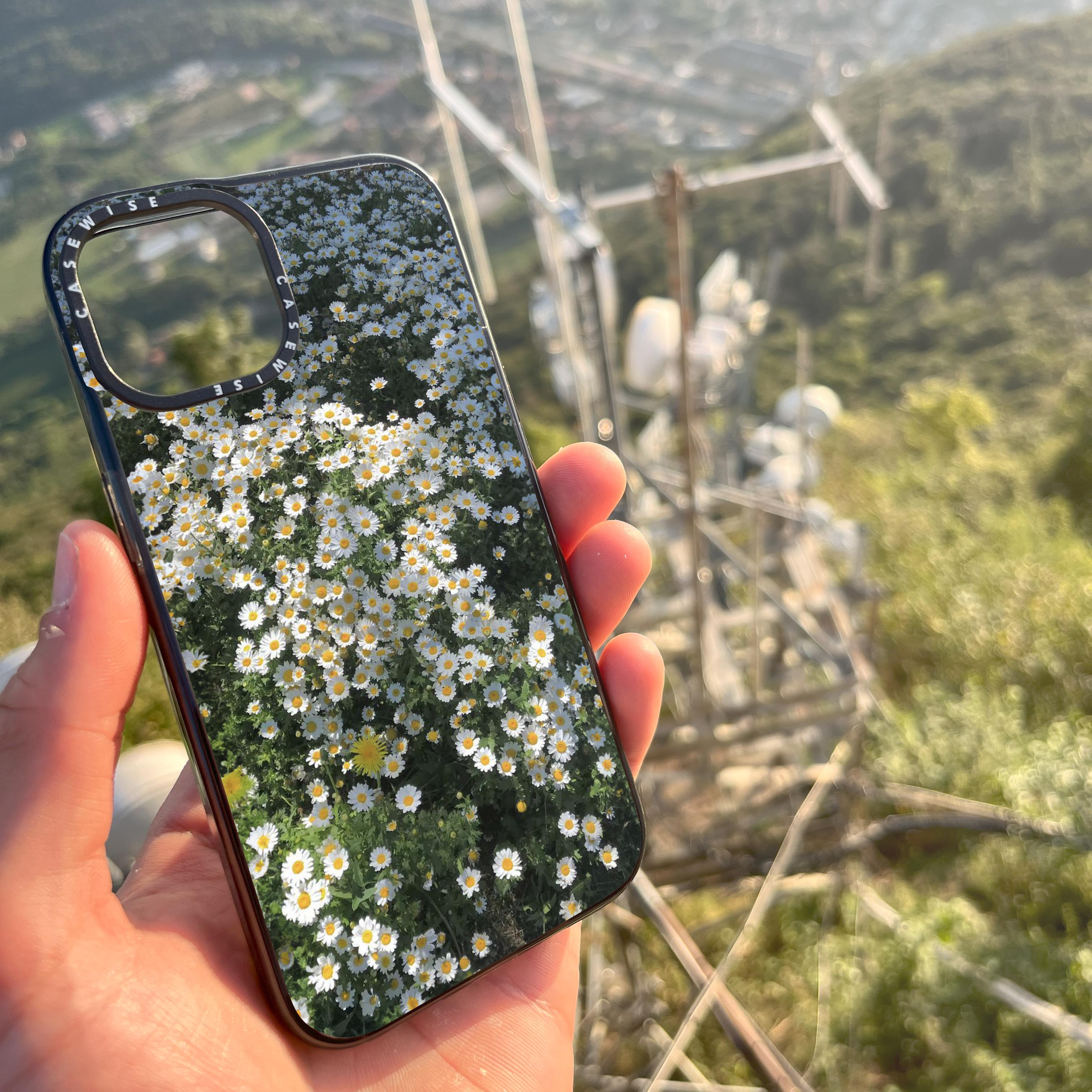 Daisy Delight - Etui