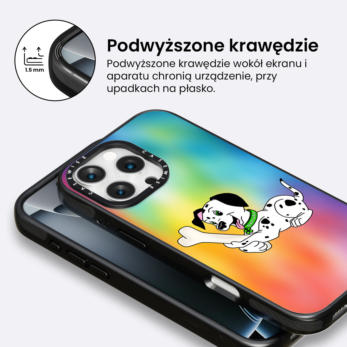 Pies dalmatyńczyk Natura - Etui