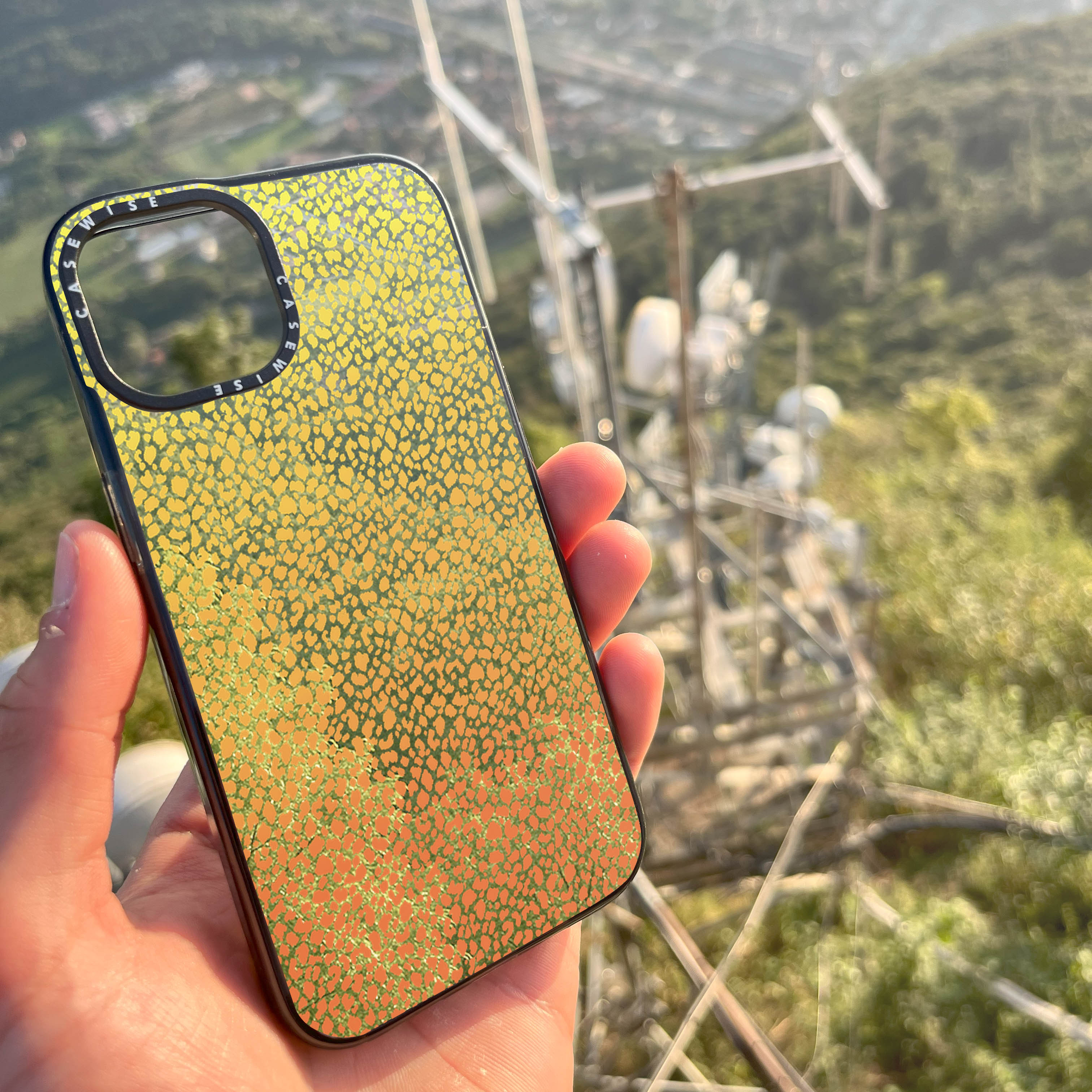 Pomarańczowa Pantera Ombré - Etui