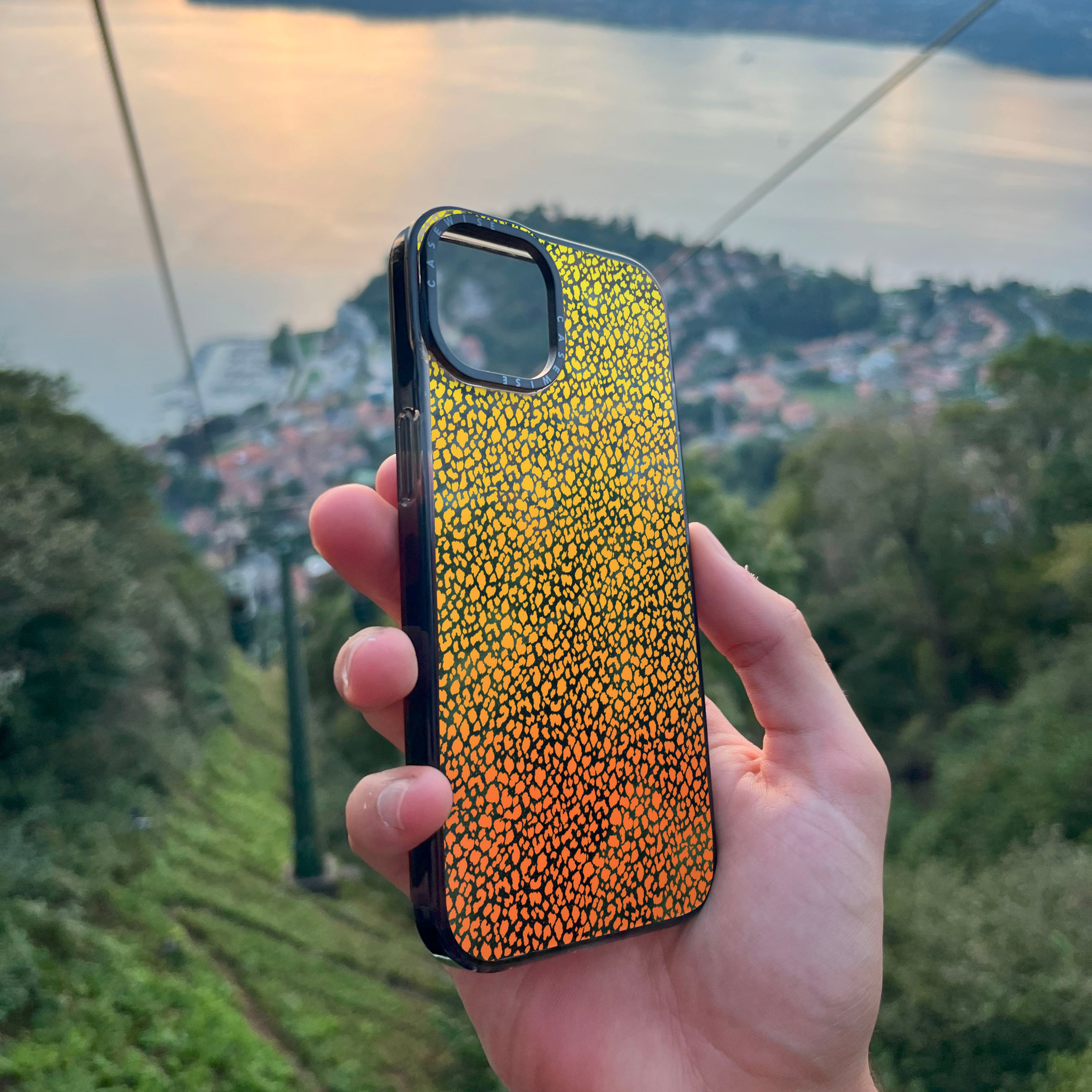 Pomarańczowa Pantera Ombré - Etui