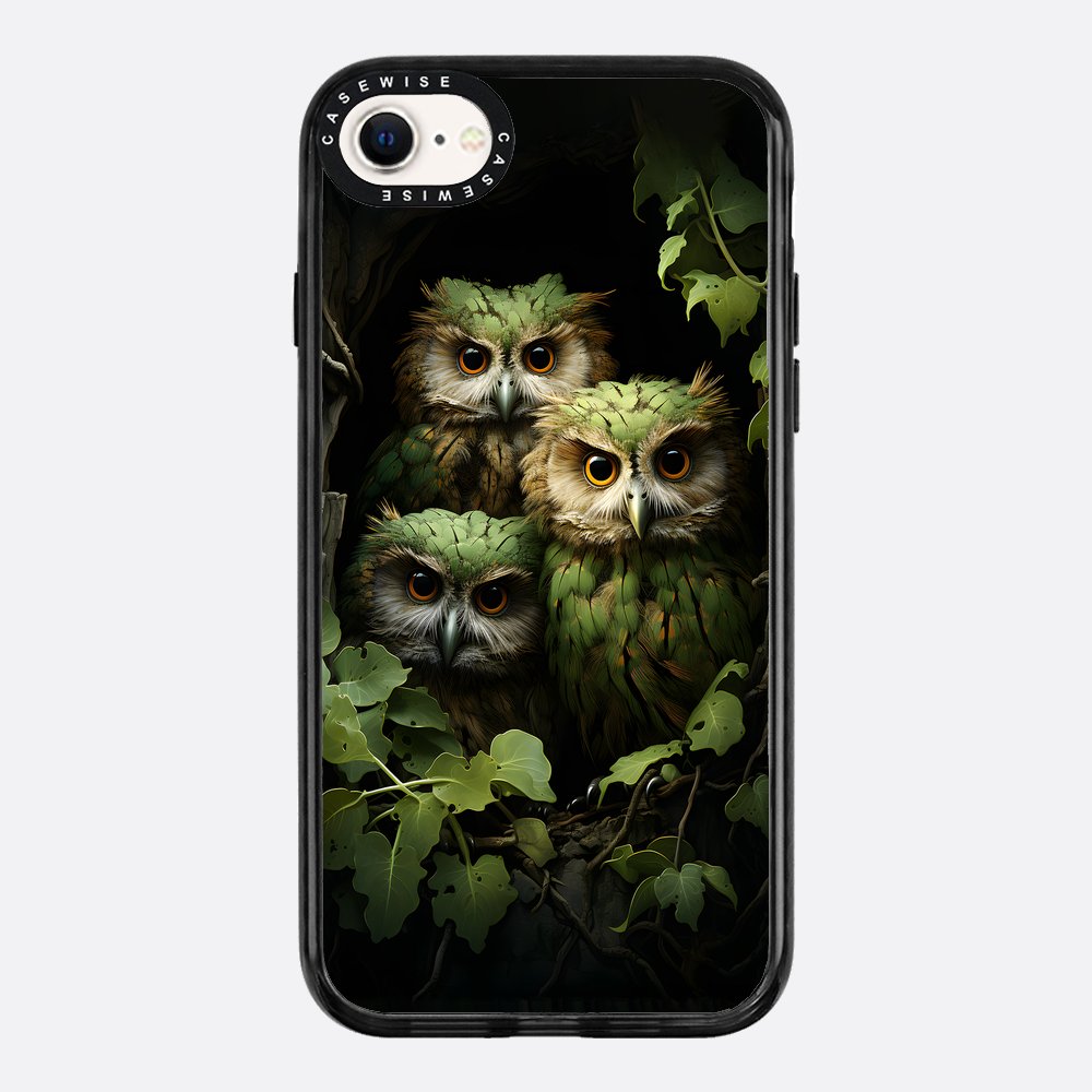 Green Tree Owls - Etui