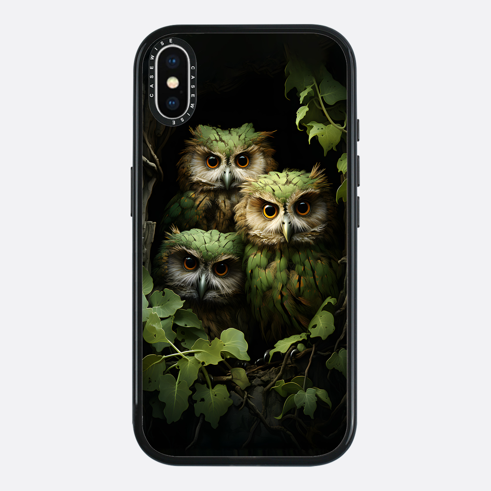 Green Tree Owls - Etui