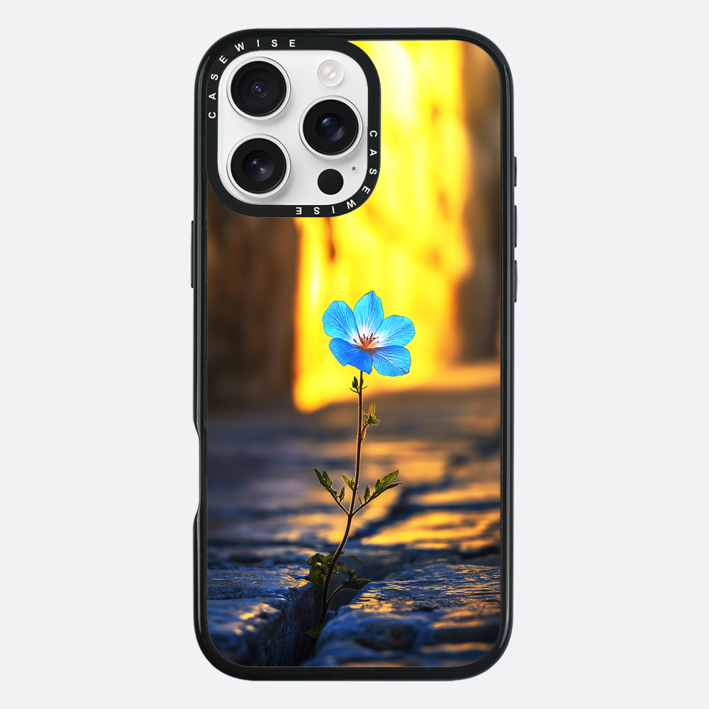 Overcoming the Stone Blue Flower - Etui