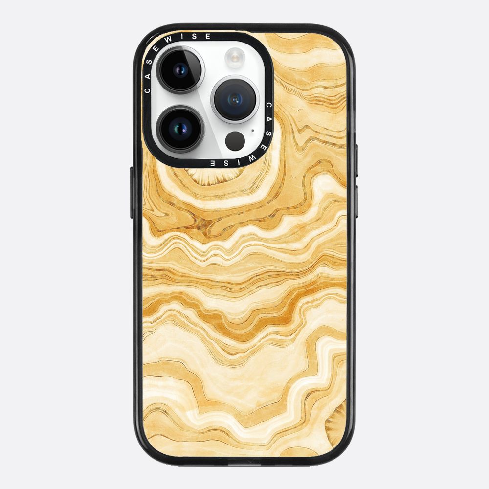 Golden Agate Texture 10 - Etui