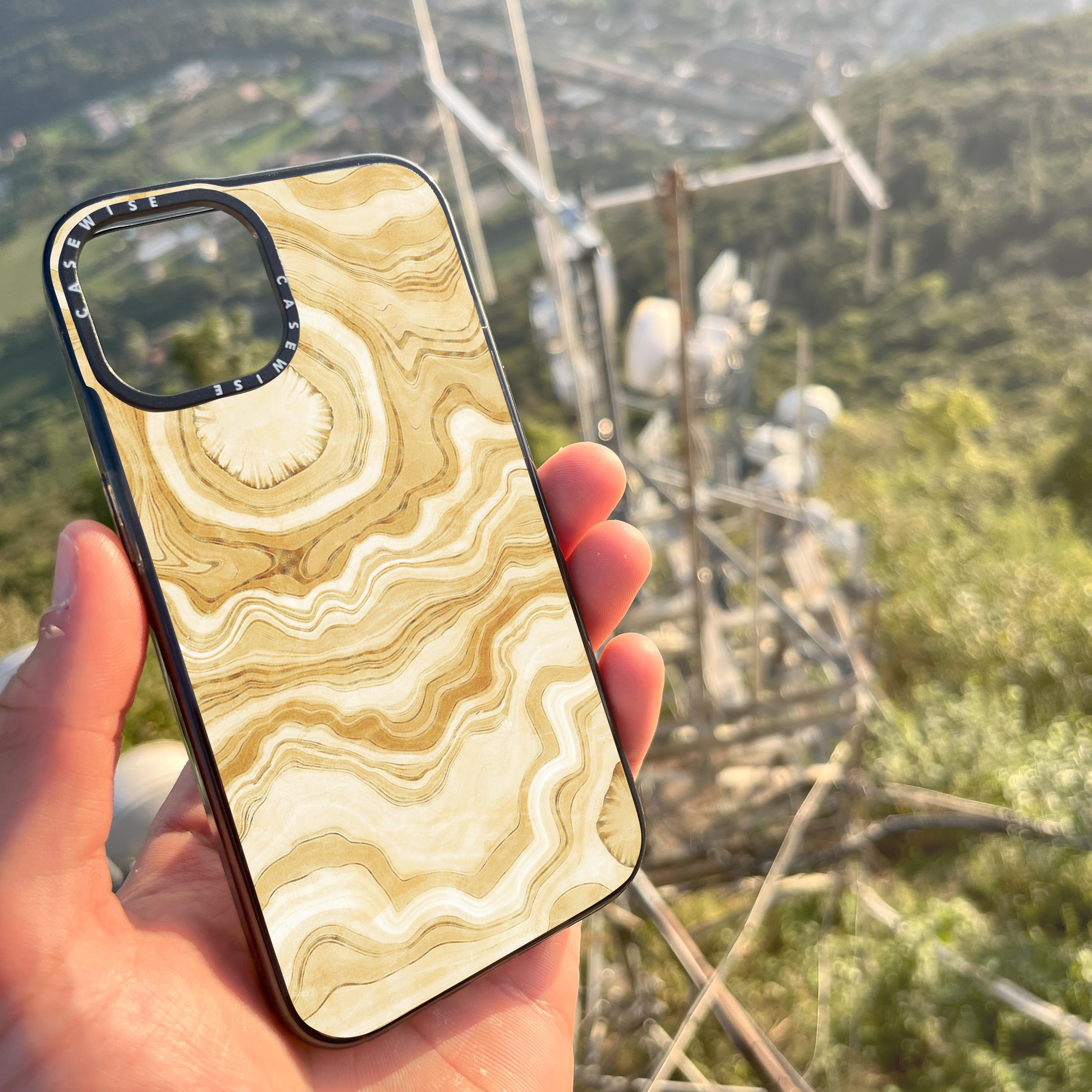 Golden Agate Texture 10 - Etui