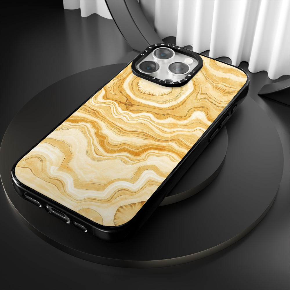 Golden Agate Texture 10 - Etui