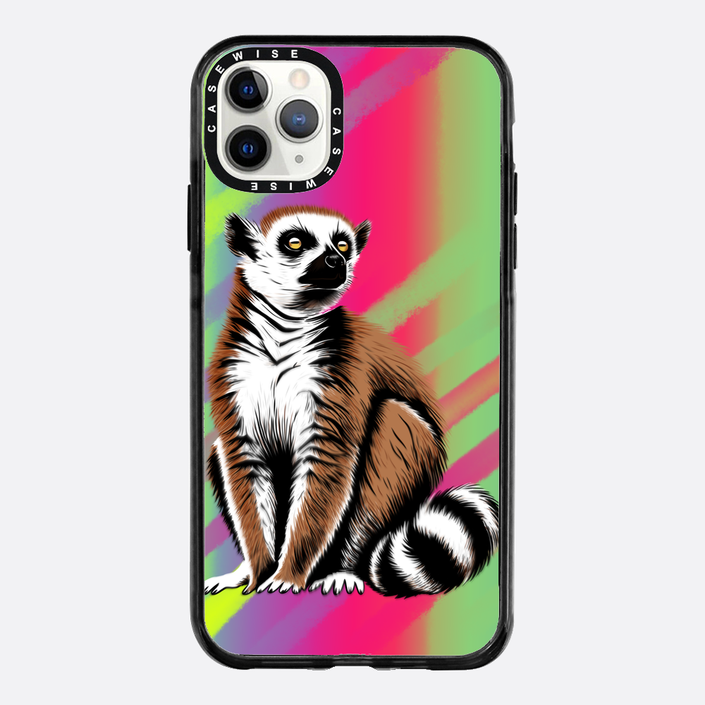 Lemur koroniasty 3 - Etui