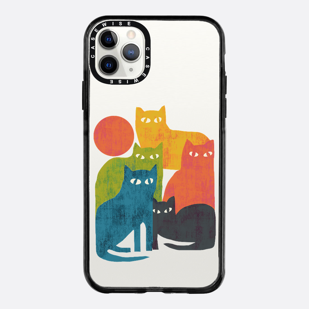 street cats - Etui