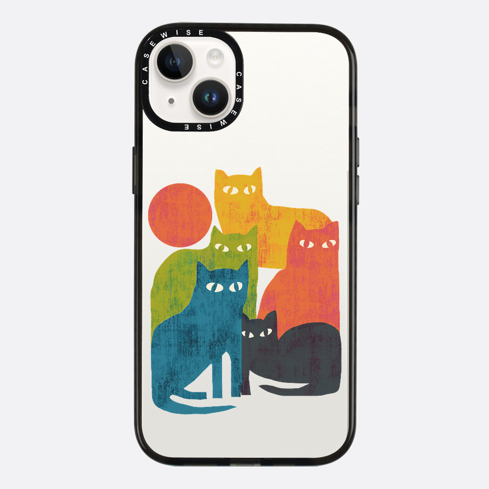 street cats - Etui