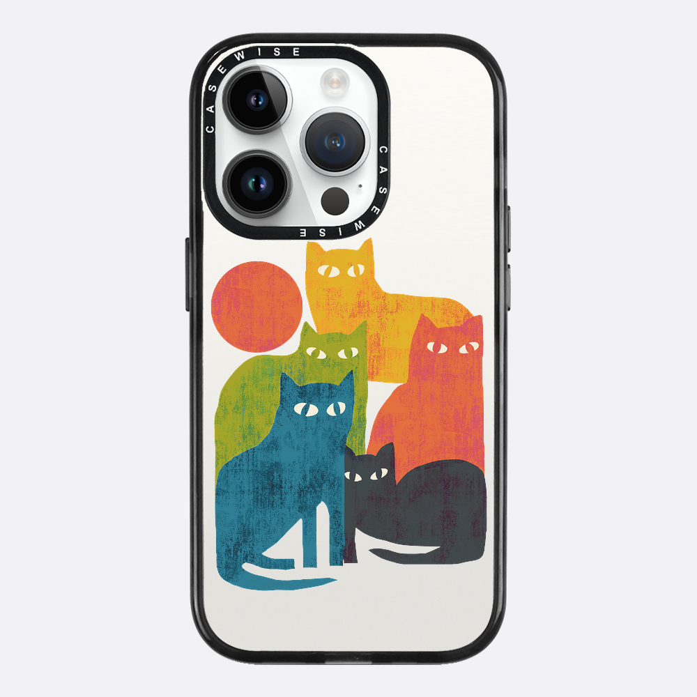 street cats - Etui