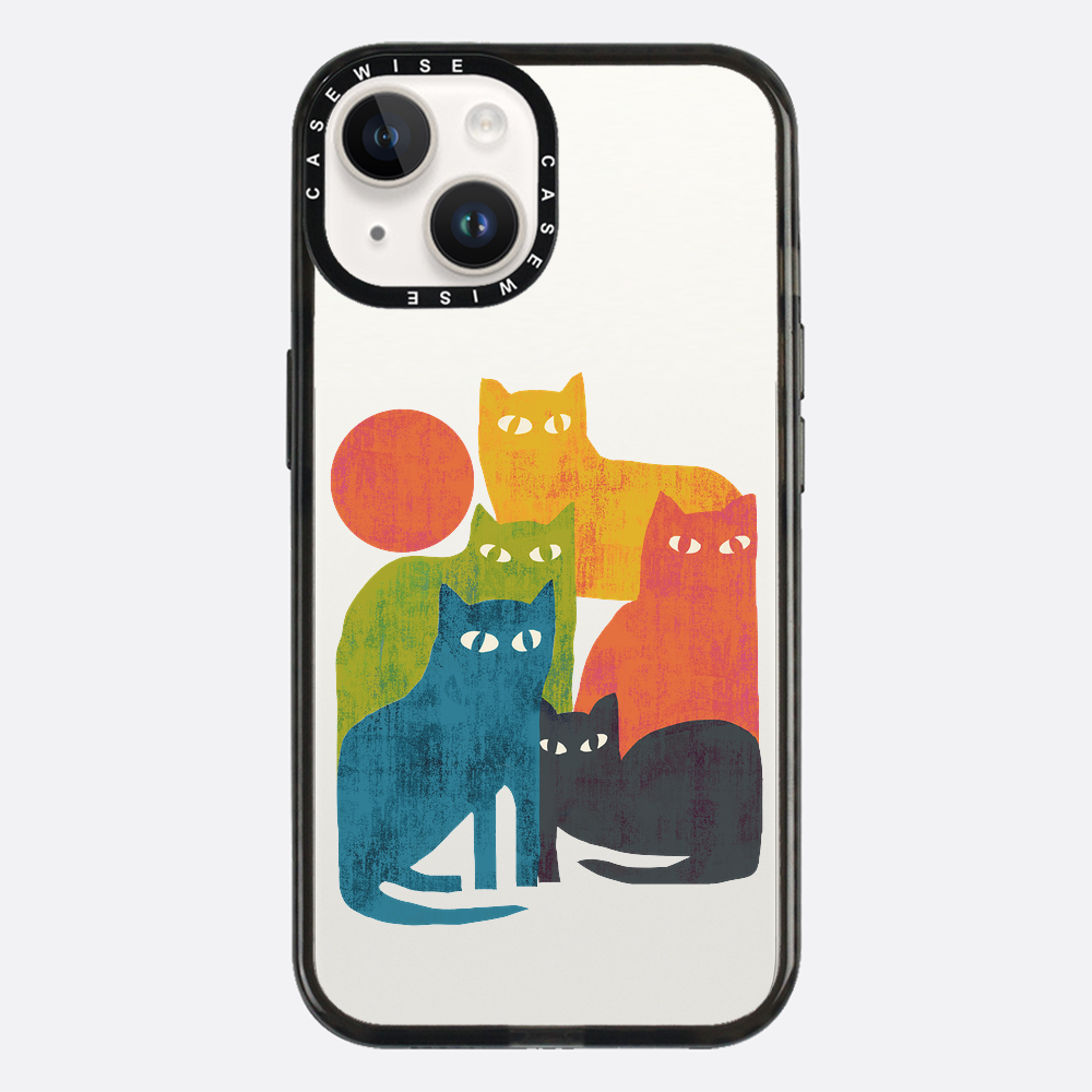 street cats - Etui