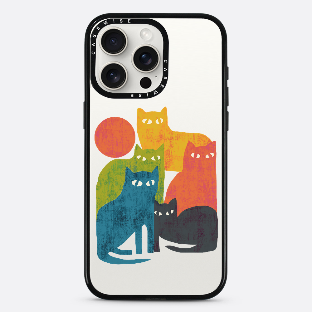 street cats - Etui