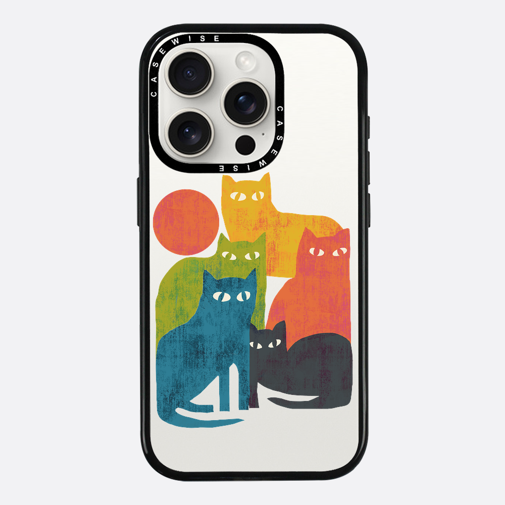street cats - Etui