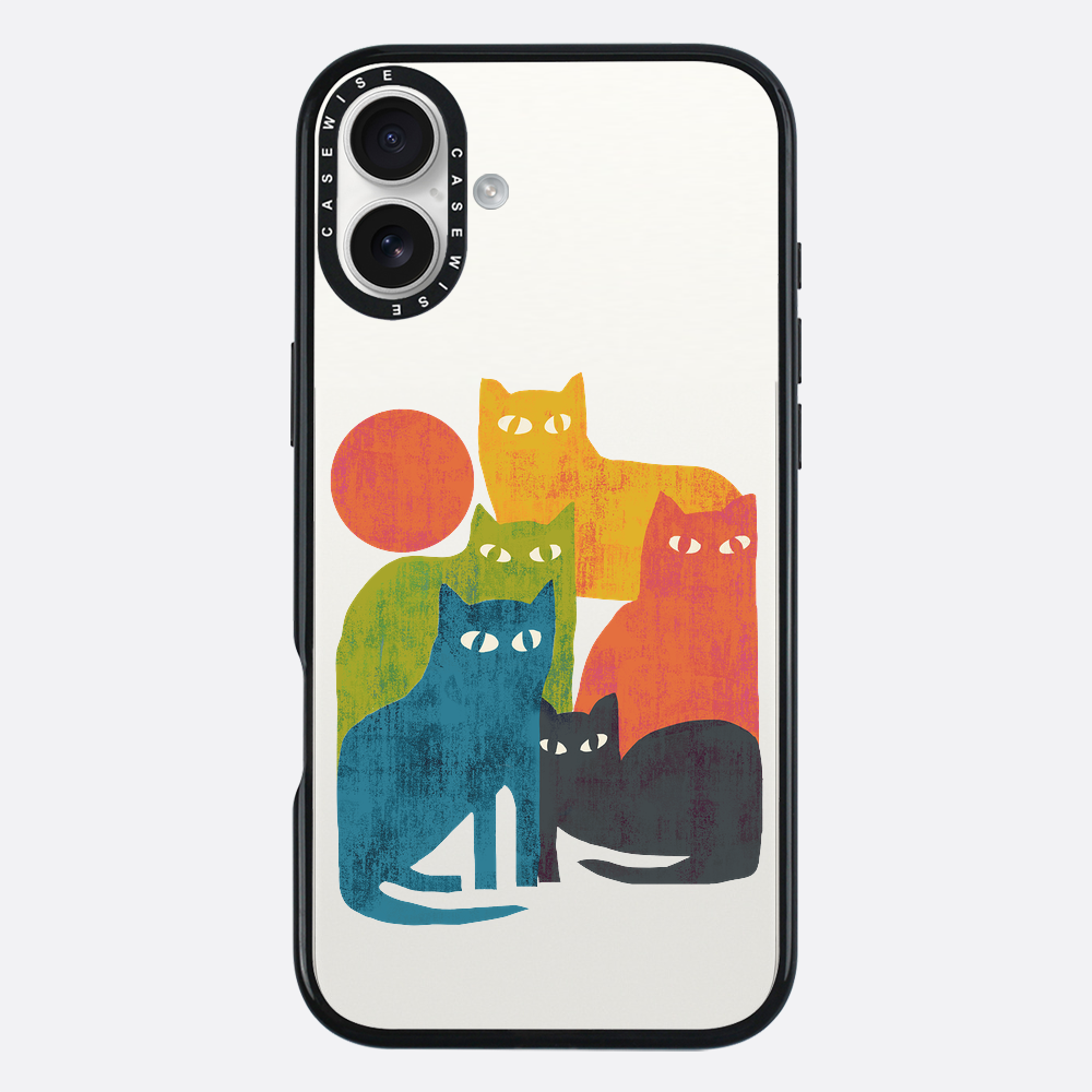street cats - Etui