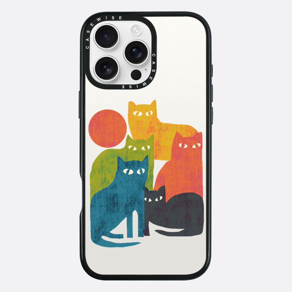 street cats - Etui