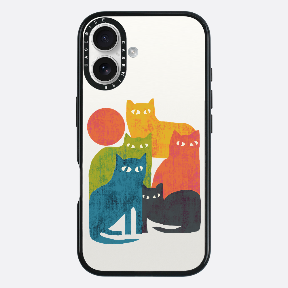 street cats - Etui