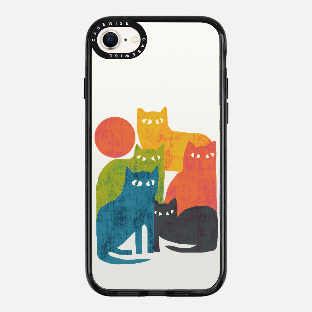 street cats - Etui
