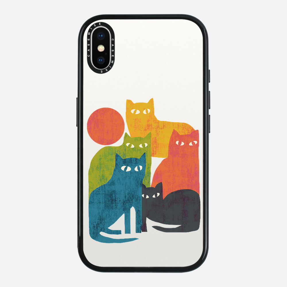 street cats - Etui