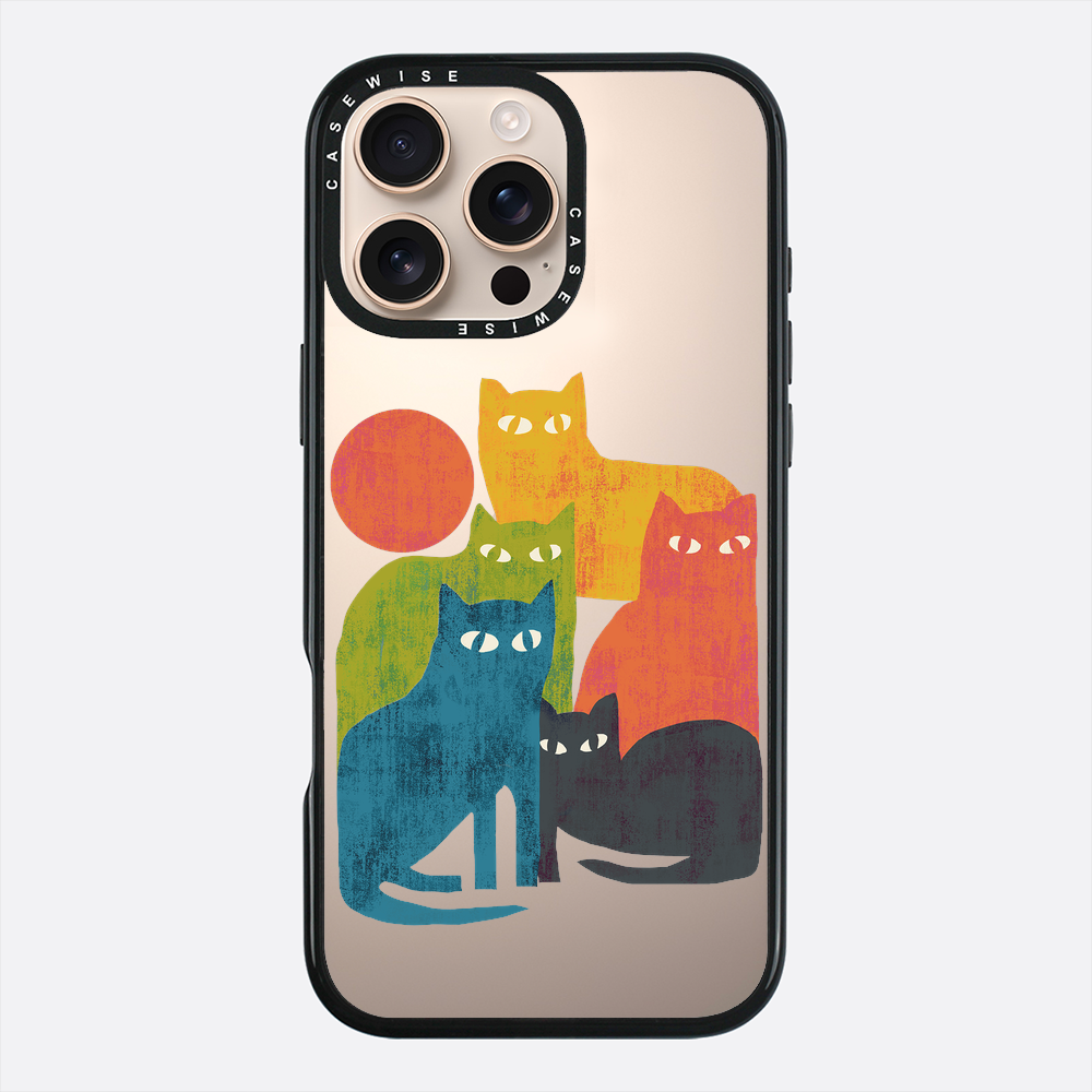 street cats - Etui