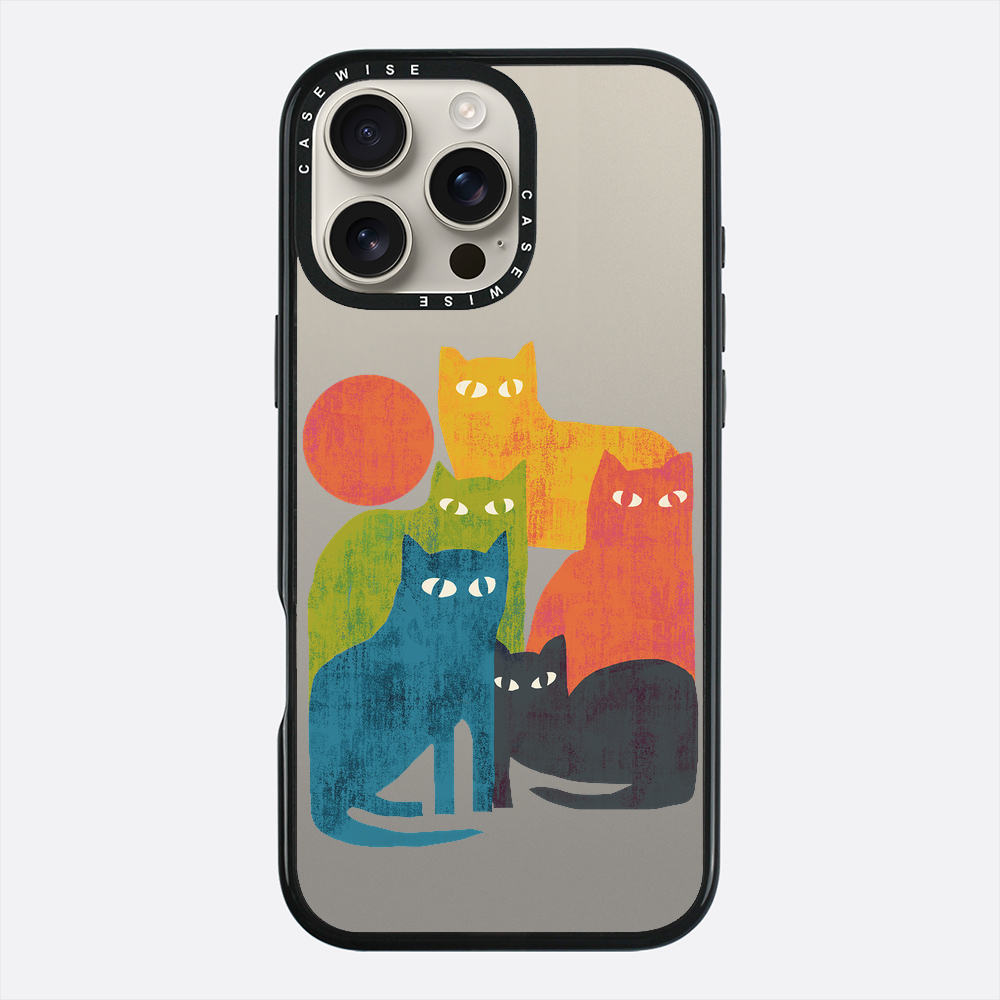 street cats - Etui