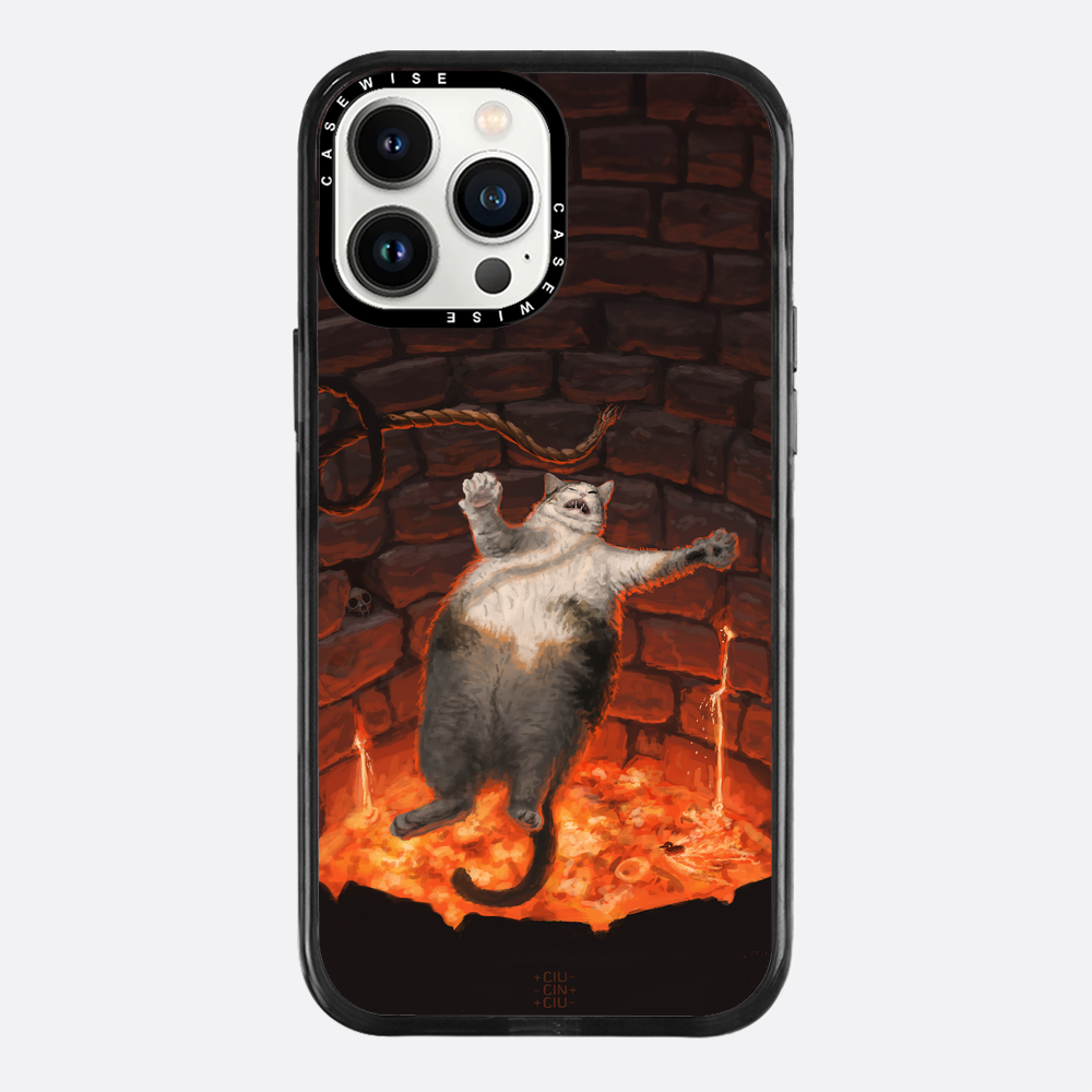 cat falling in lava - Etui