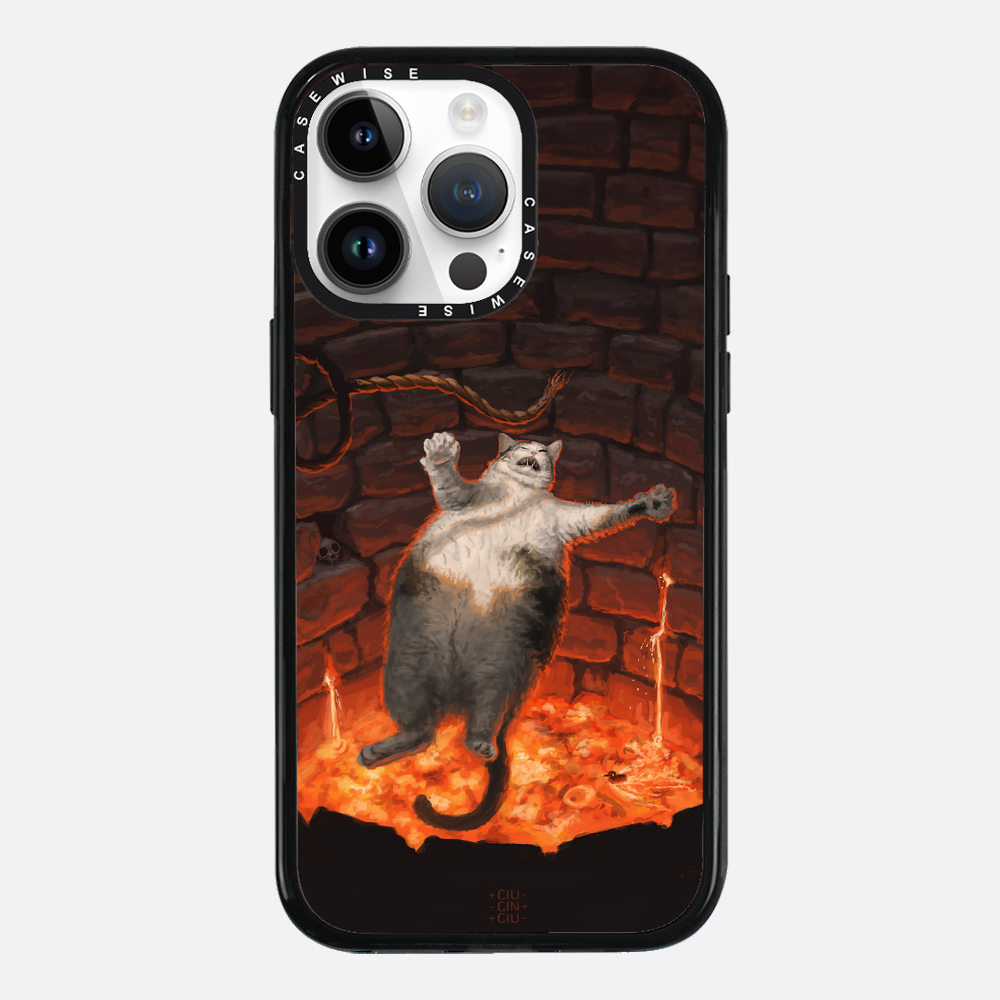 cat falling in lava - Etui