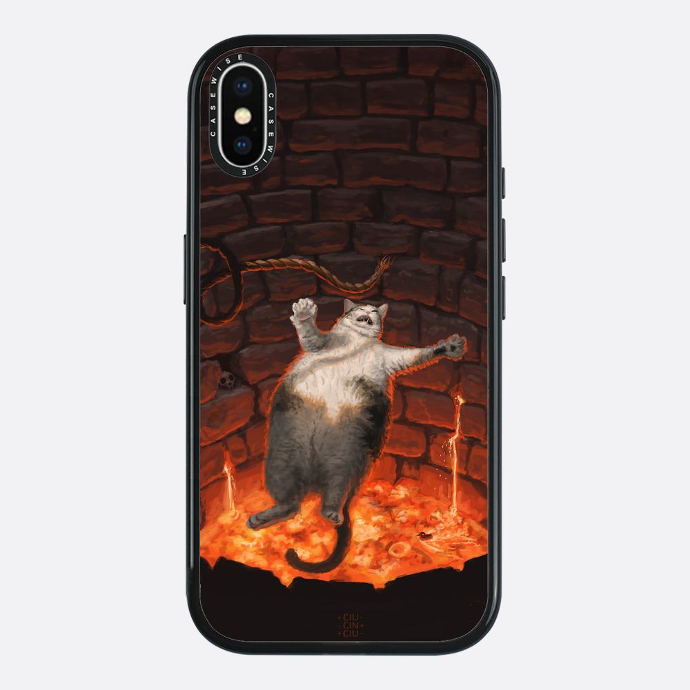 cat falling in lava - Etui
