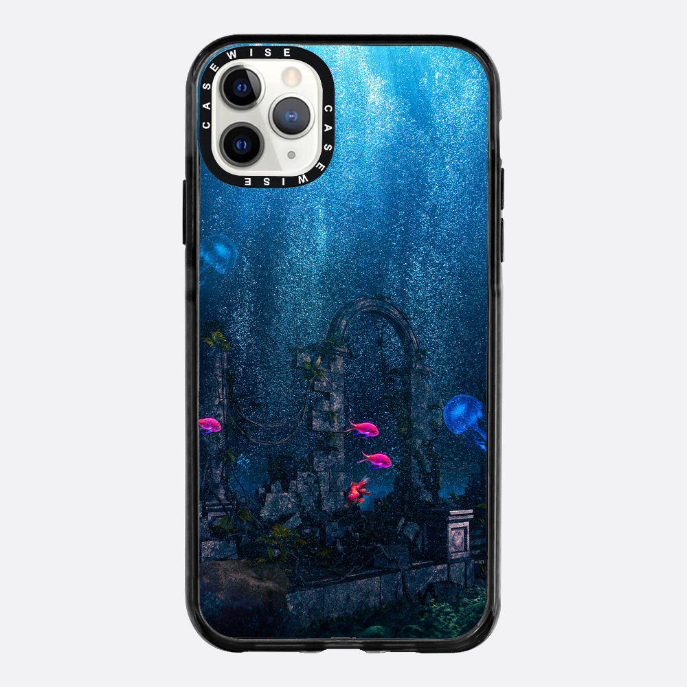 Fishy Ruins - Etui