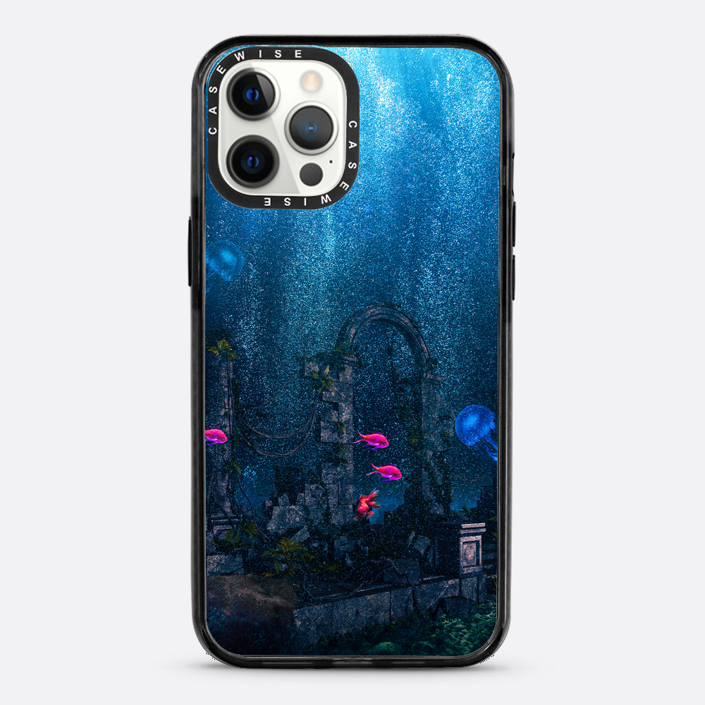 Fishy Ruins - Etui